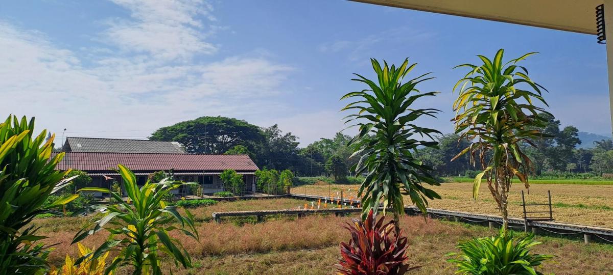 Hotel Ban Lom Jen Homestay - Image 1