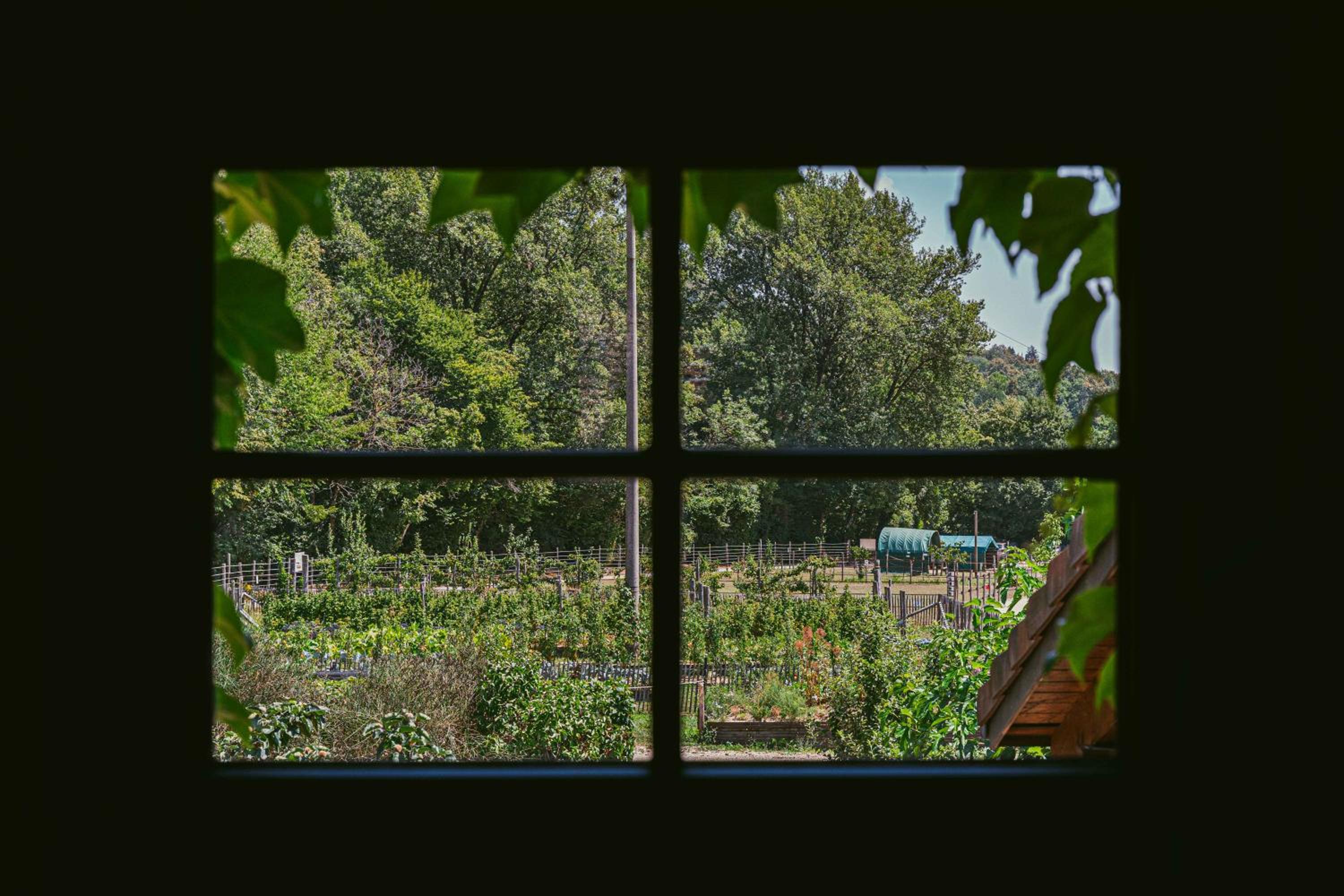 Ca.Stella Farm