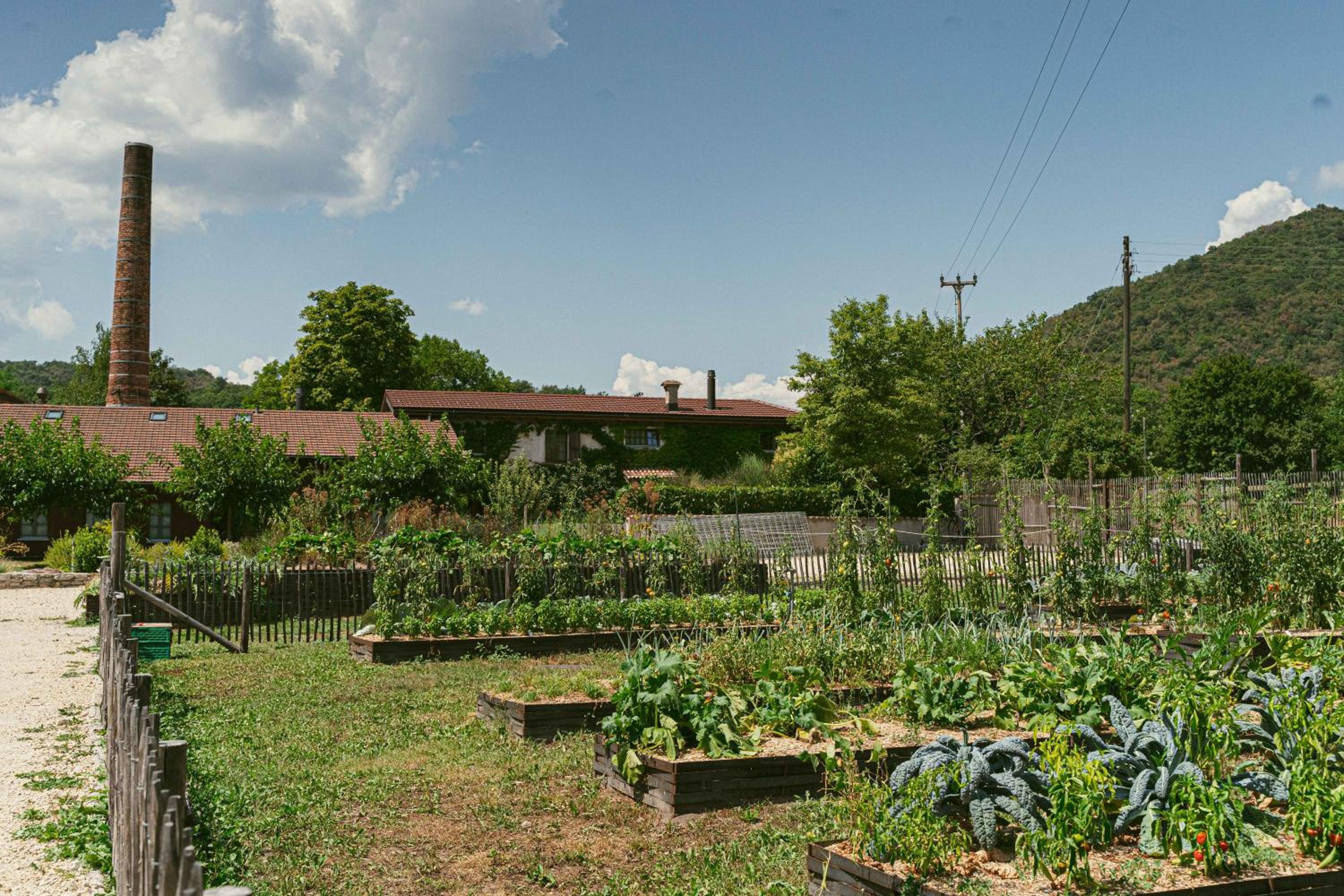 Ca.Stella Farm