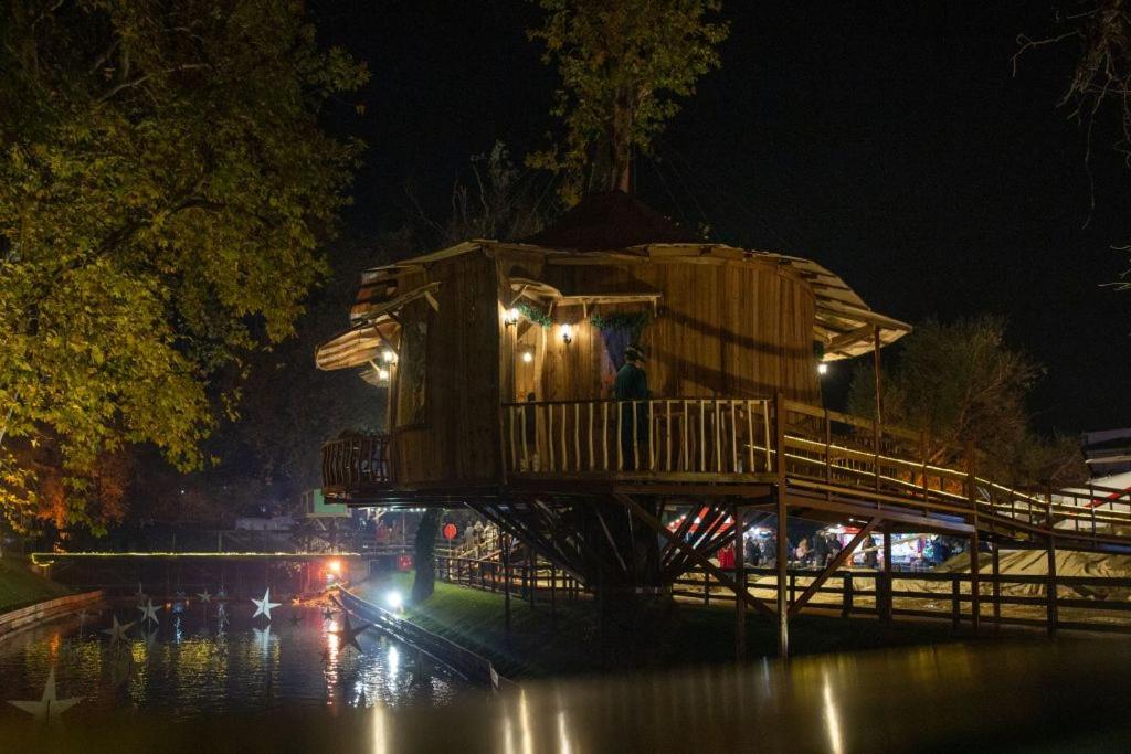 Vivi 's guesthouse