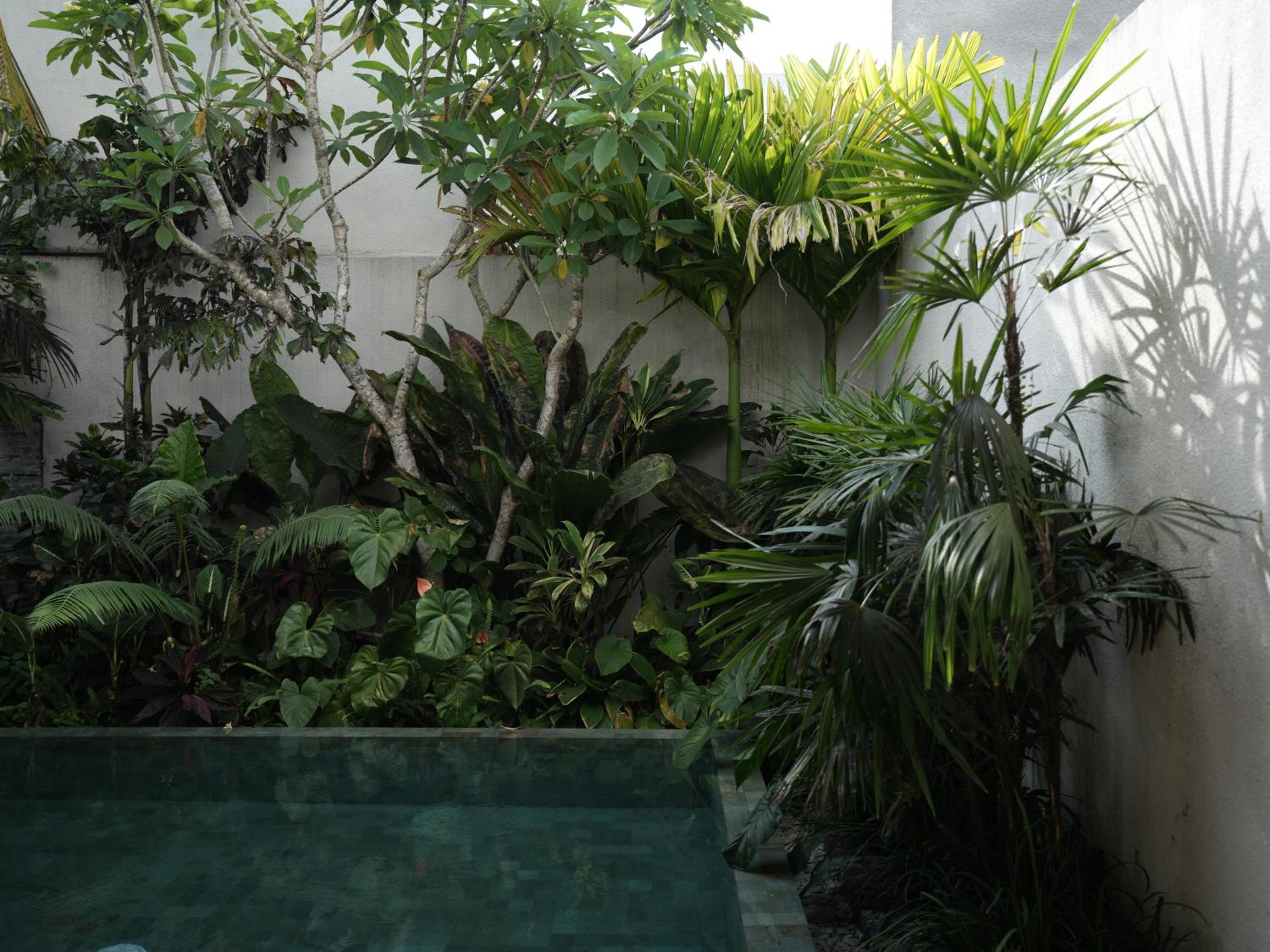 Daun Lebar Villas