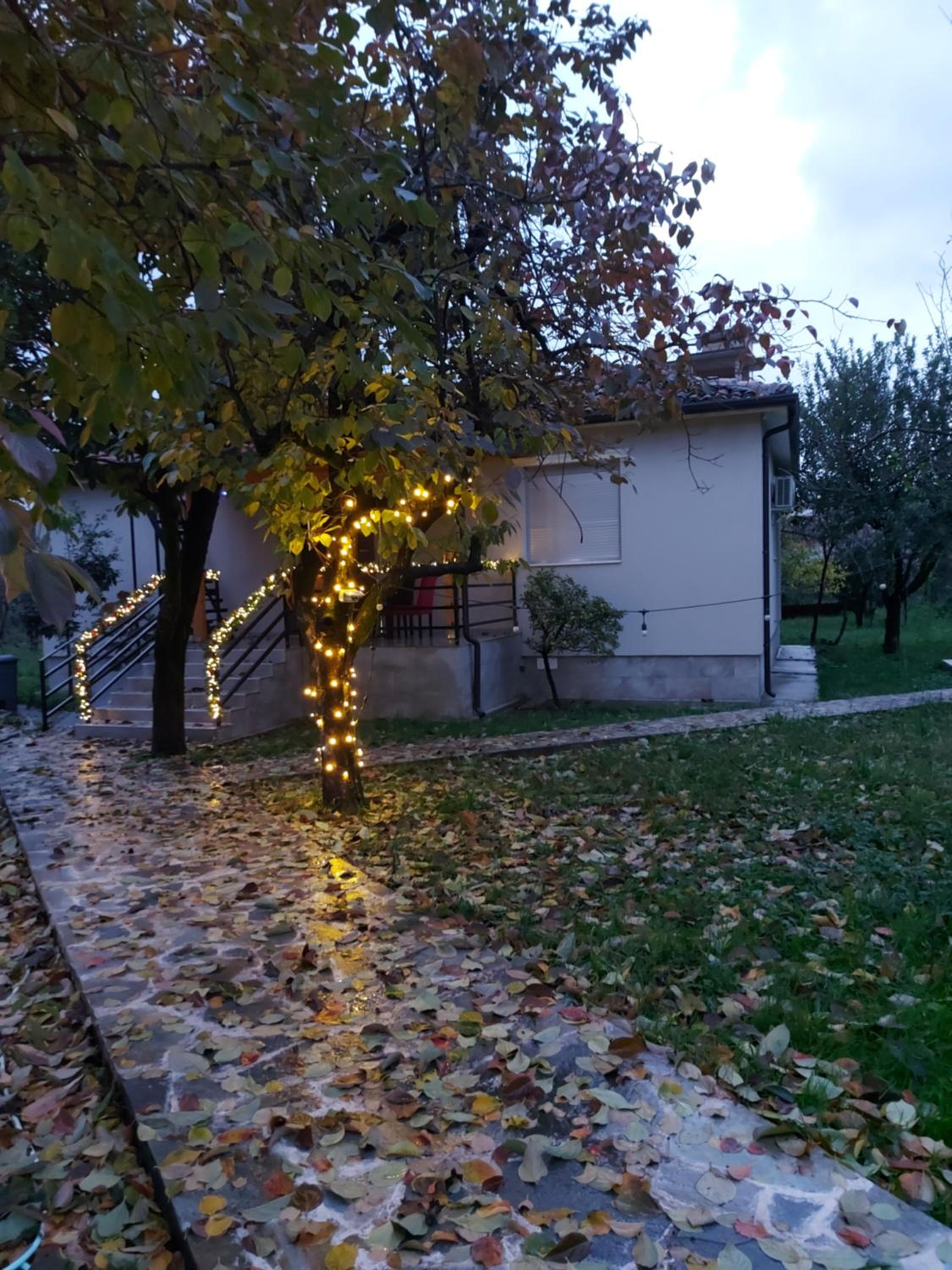 Nicolaus Hidden Gem Villa
