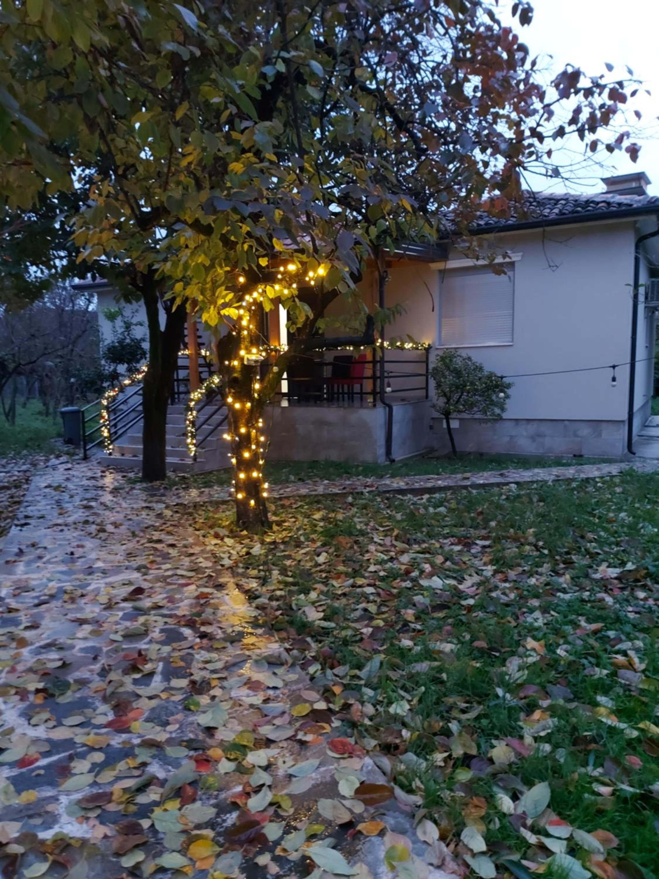 Nicolaus Hidden Gem Villa