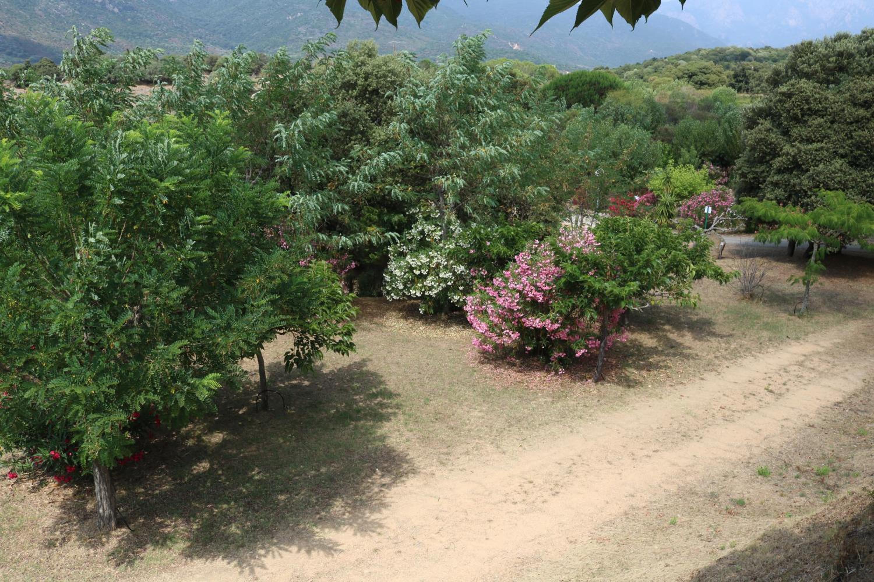 Camping Les Couchants