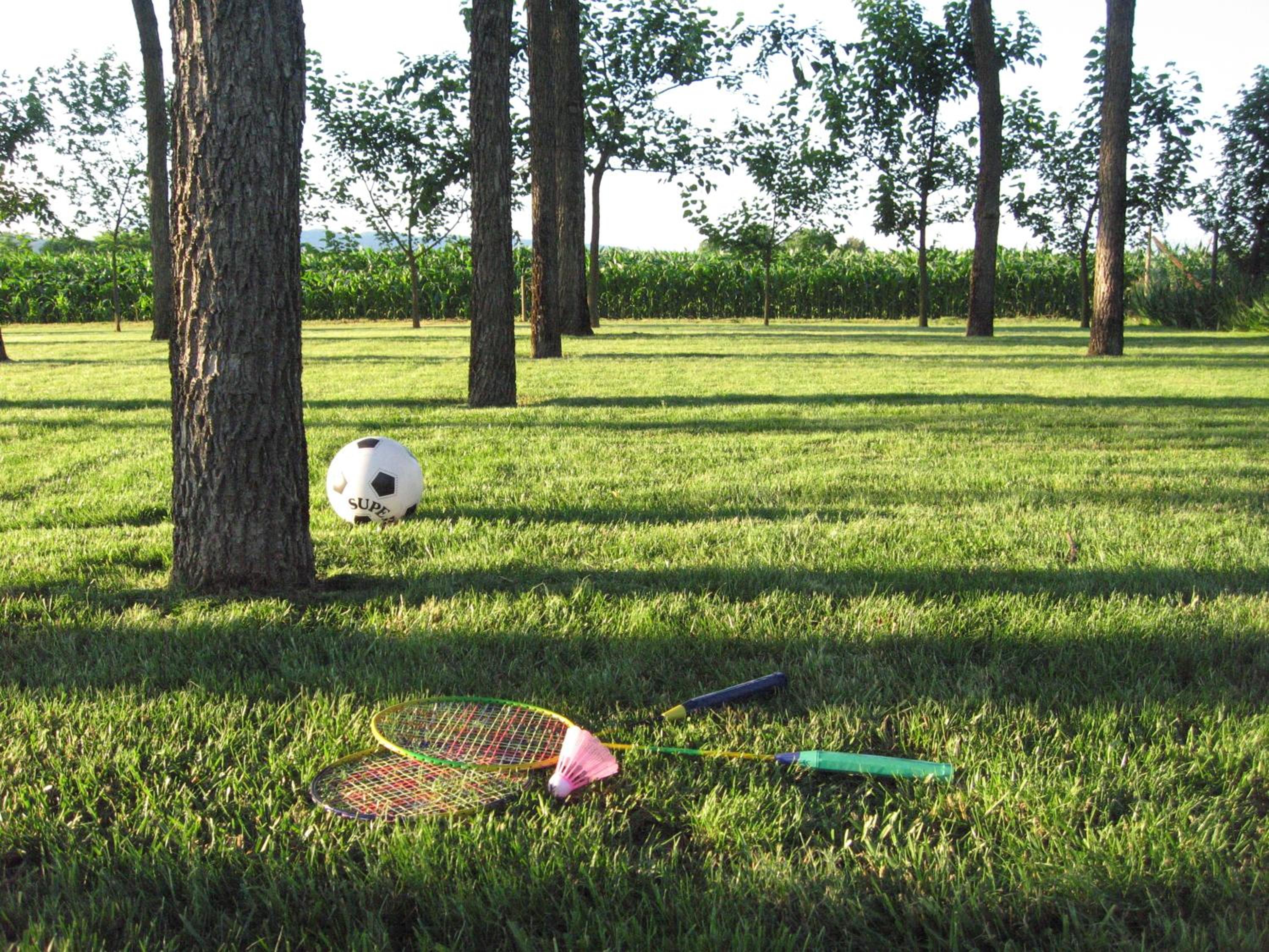 Photo 45