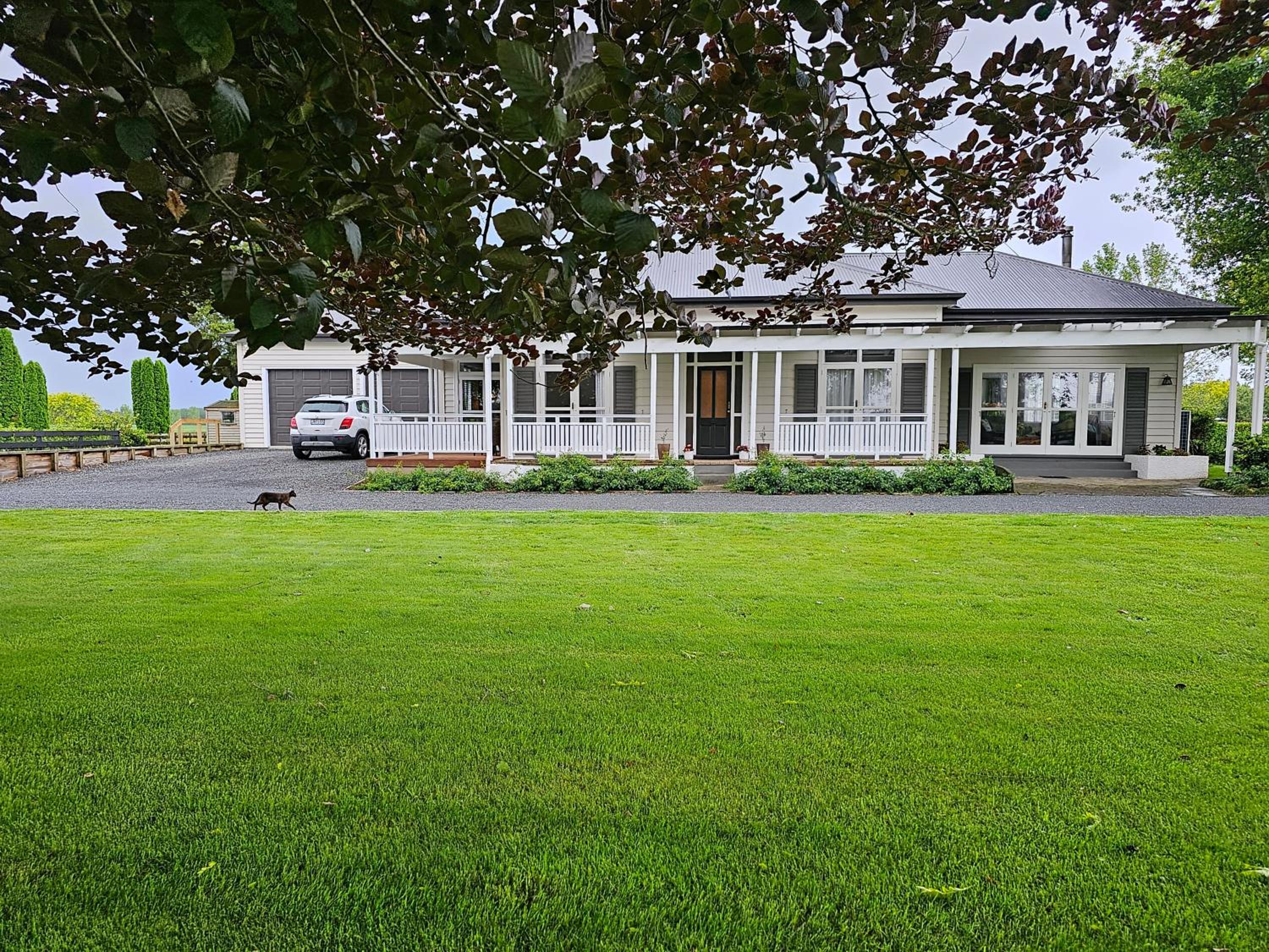 Photo 19