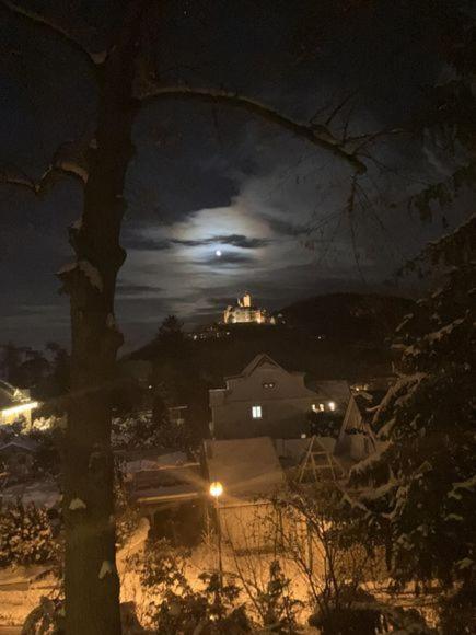 Castrum Visum Wernigerode
