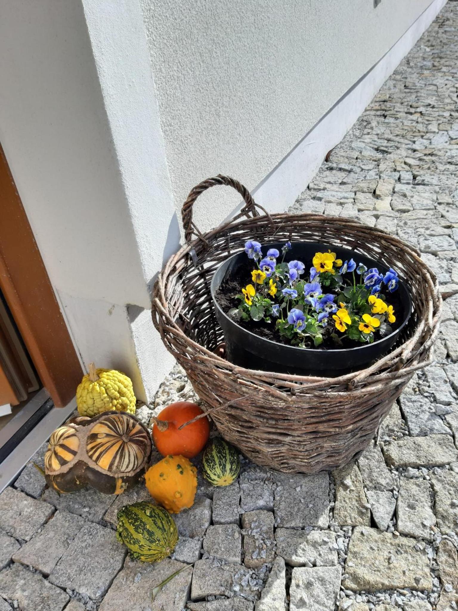 Apartmány Marie Albeř