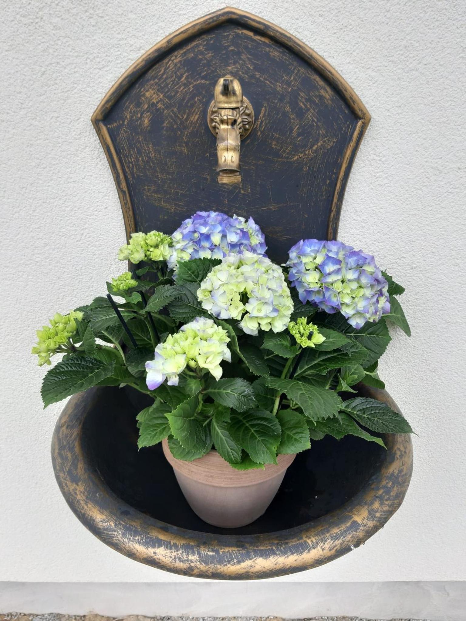 Apartmány Marie Albeř