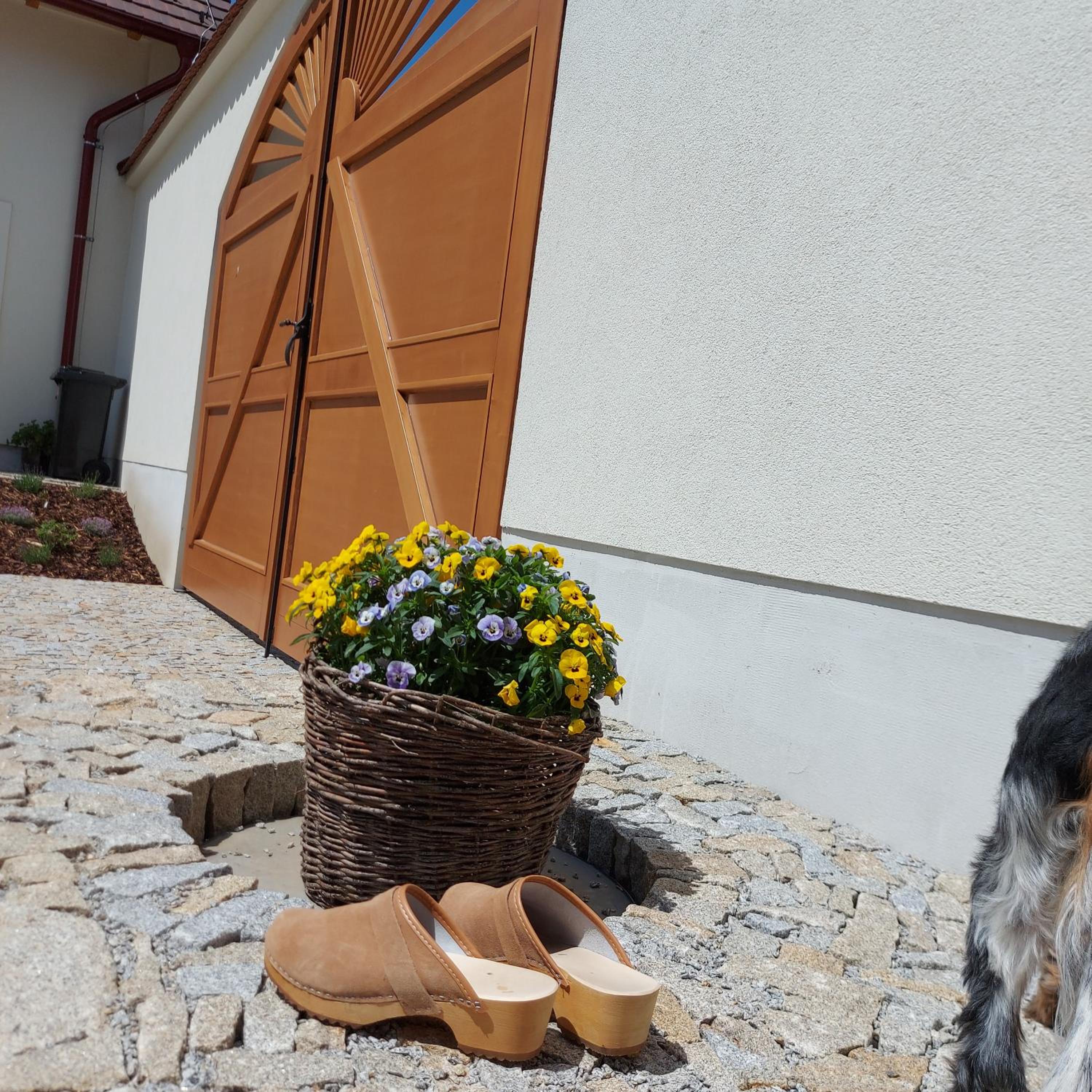 Apartmány Marie Albeř