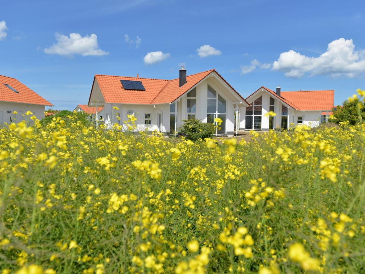 Villa Adlerhorst