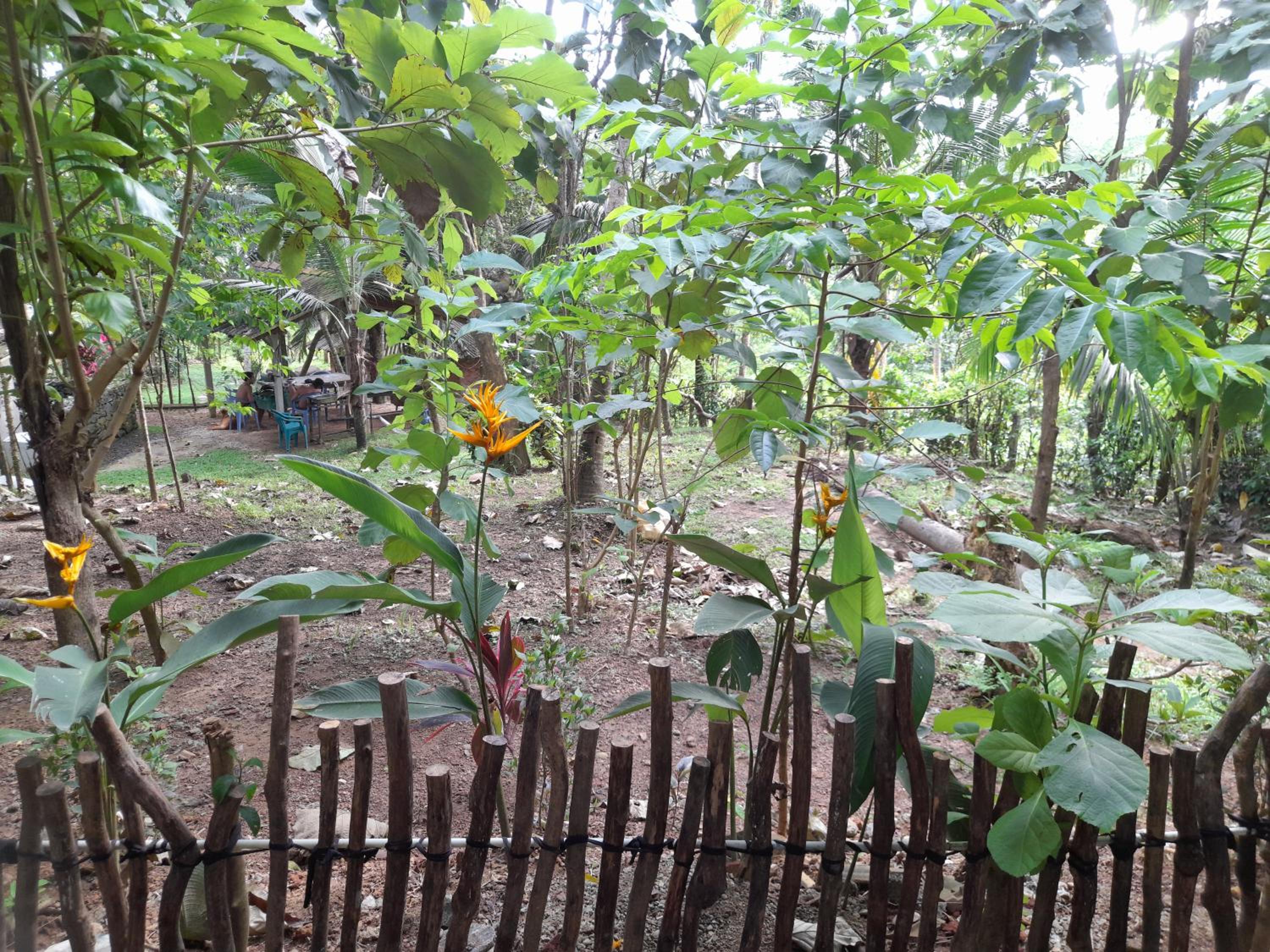 Linu Homestay