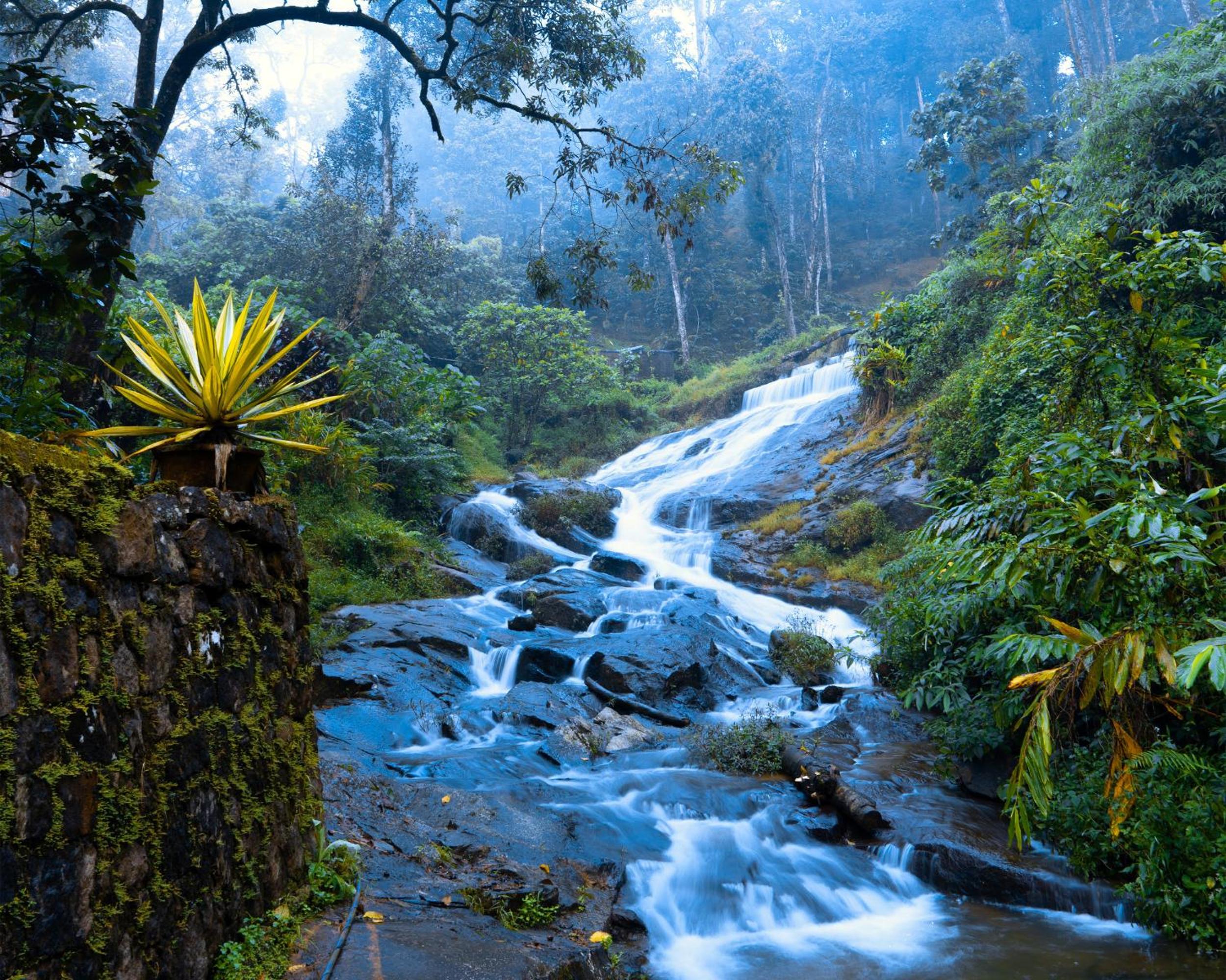 Munnar Vacations - Falling Waters Munnar - Property Image 2