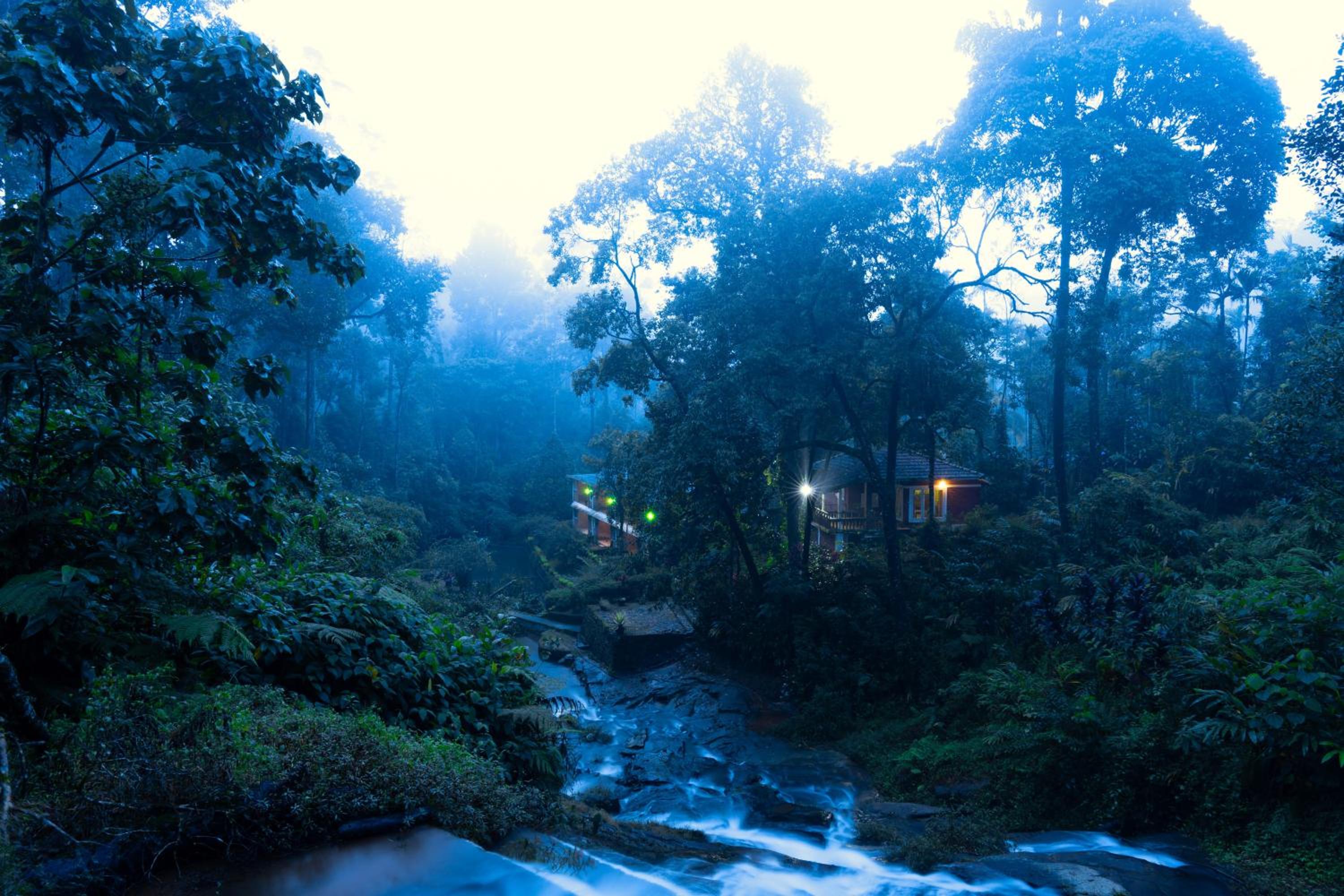 Munnar Vacations - Falling Waters Munnar - Property Image 8