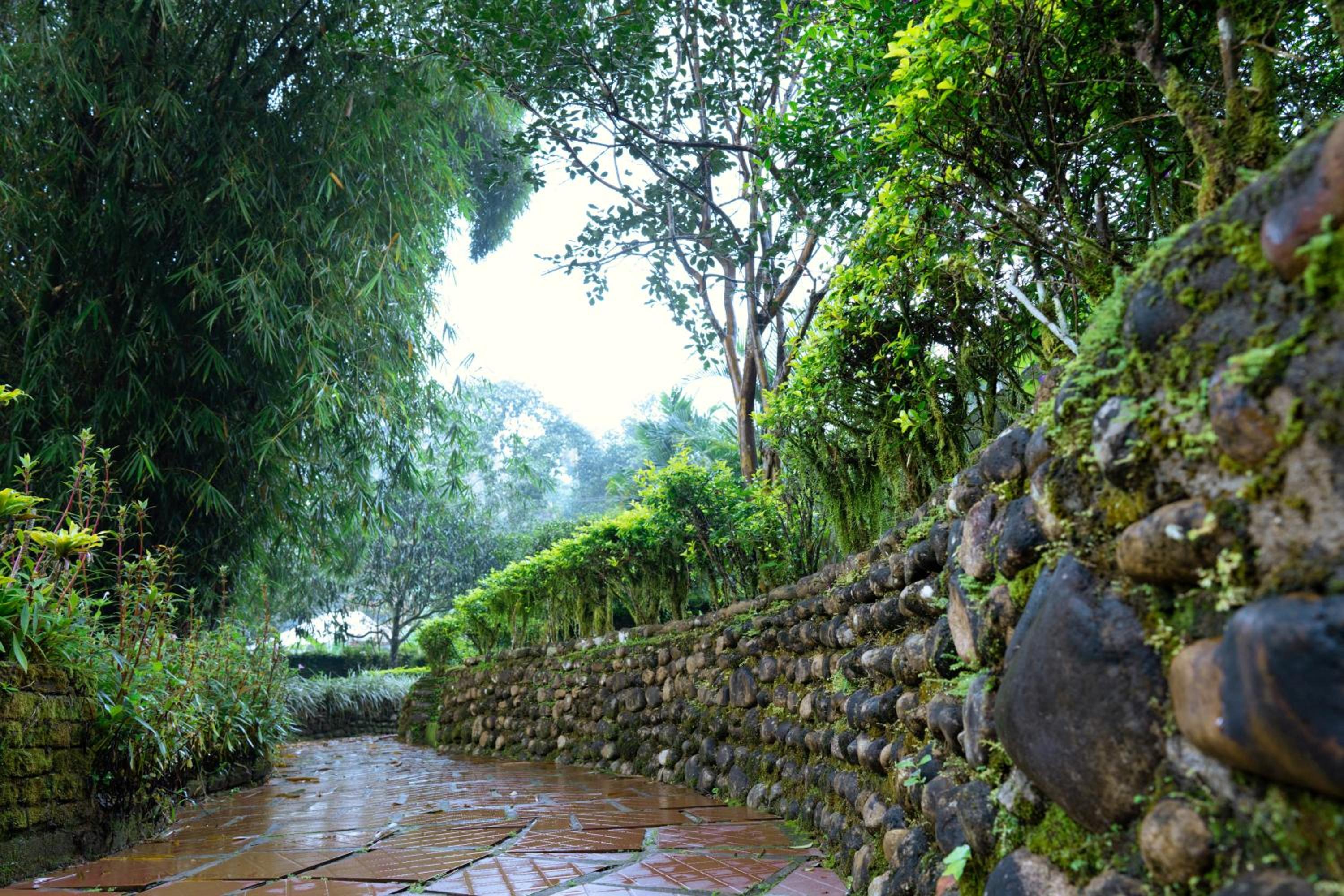 Munnar Vacations - Falling Waters Munnar - Property Image 7