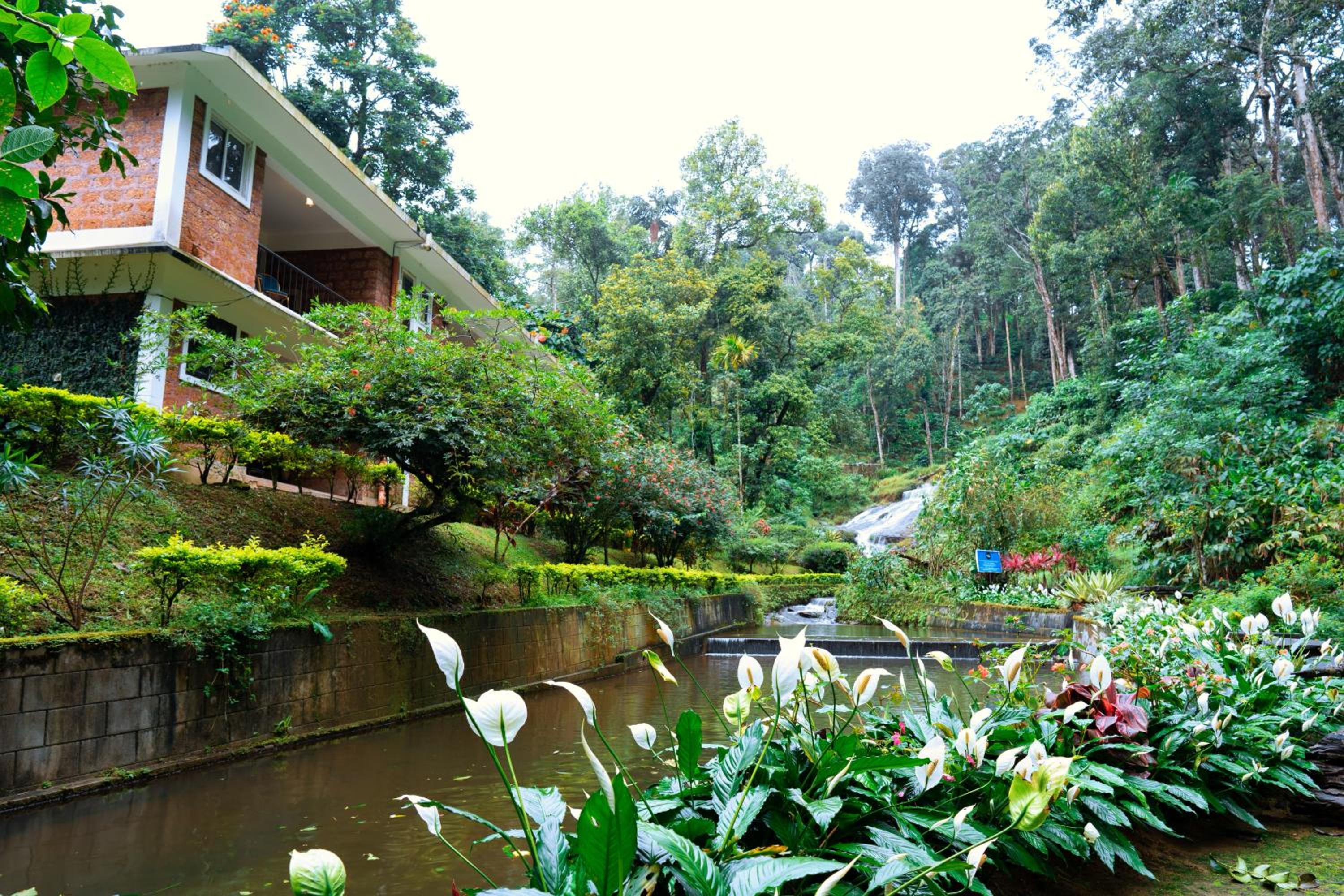 Munnar Vacations - Falling Waters Munnar - Property Image 2