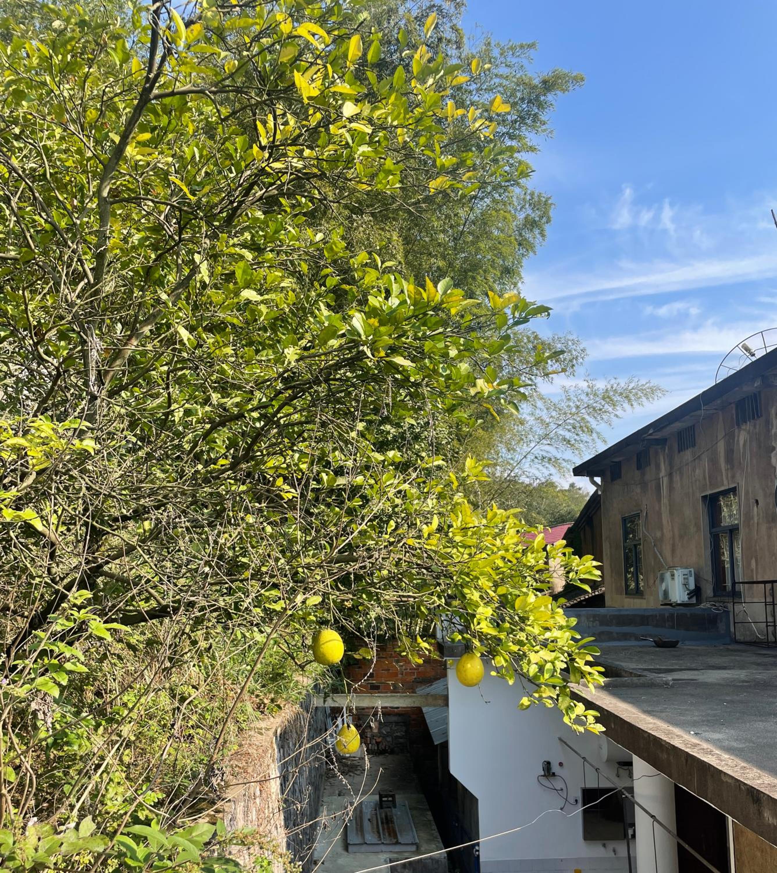 Youbao House