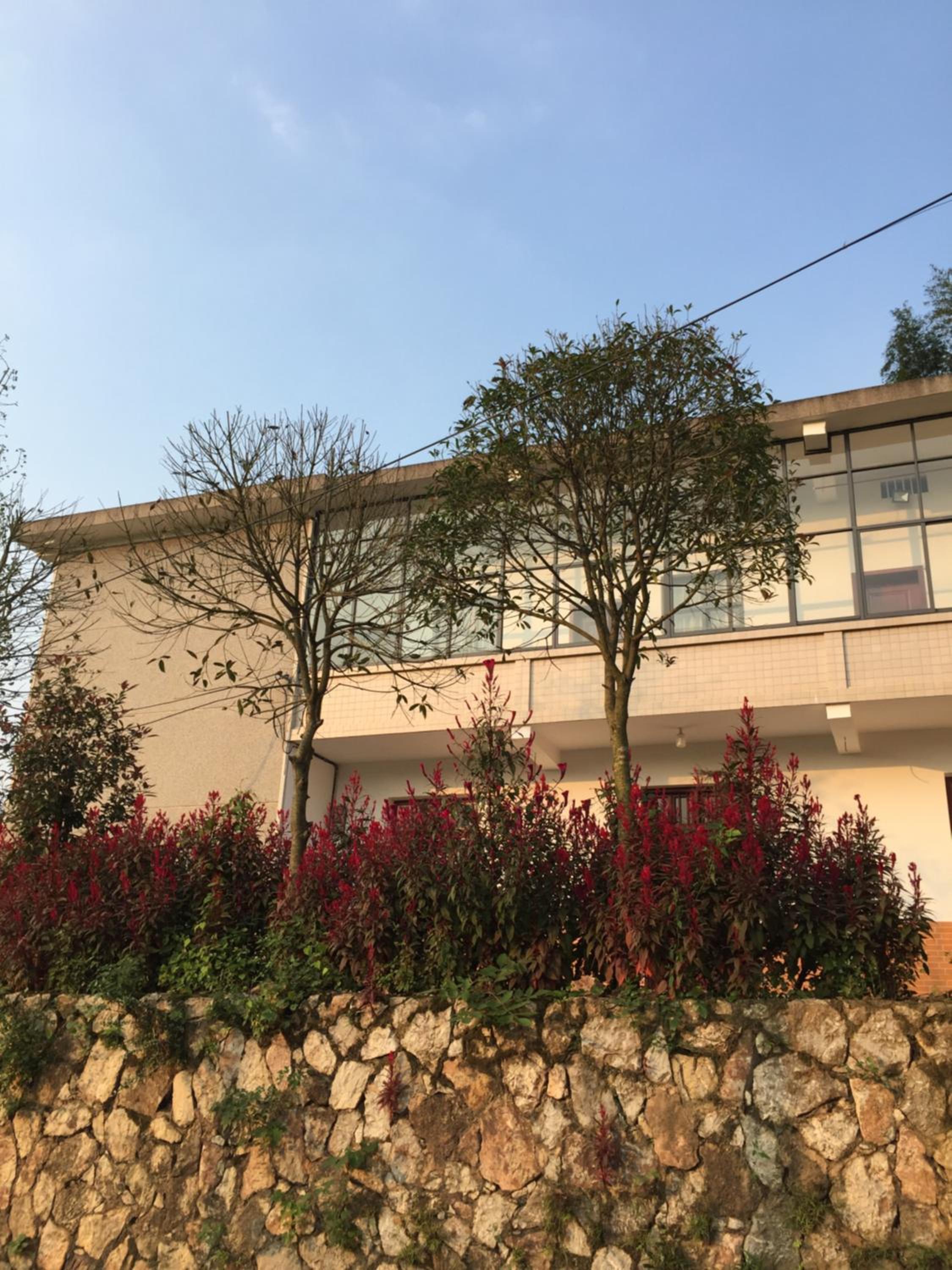 building