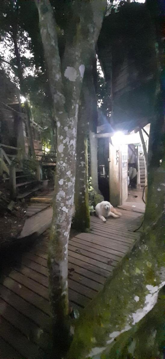 Vila da Mata Hospedagem
