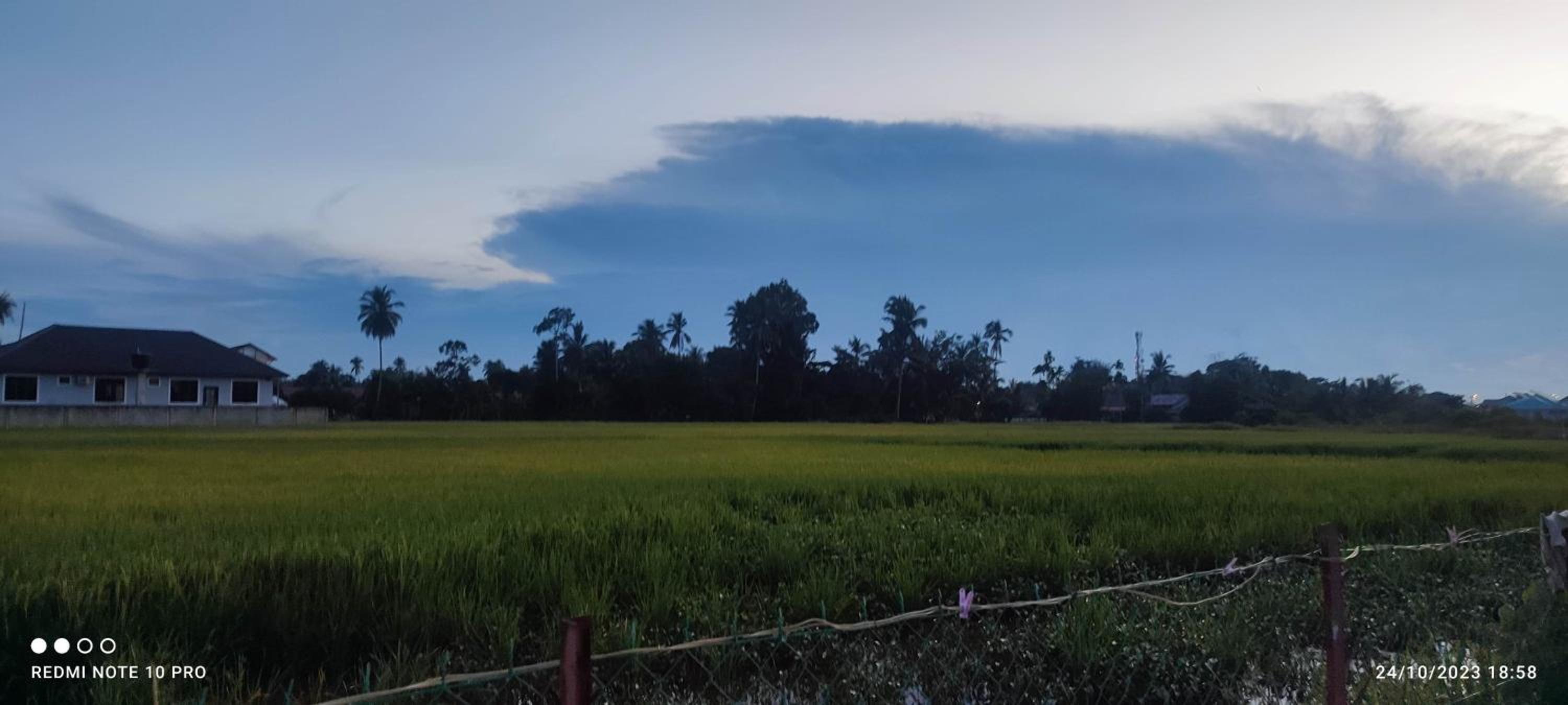 Homestay Haura Bella