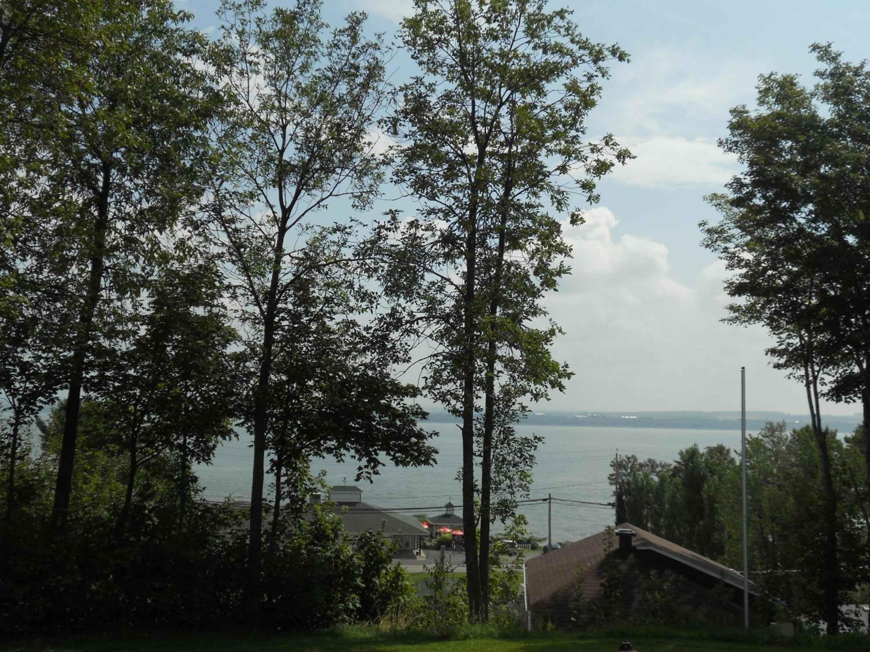 Photo 45