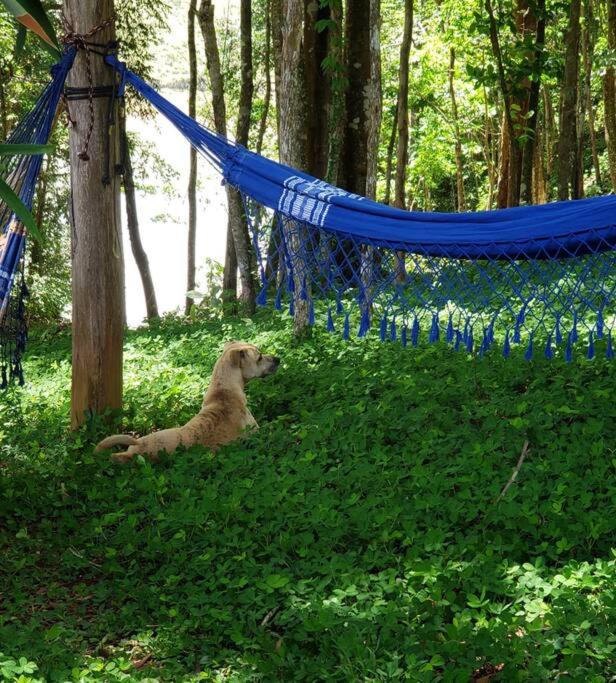 Cabana em Ouro Preto: represa mata caiaque e bike