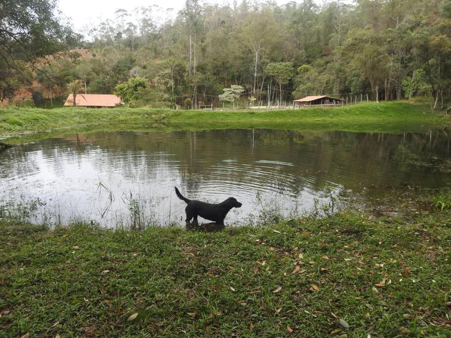 Cabana em Ouro Preto: represa mata caiaque e bike
