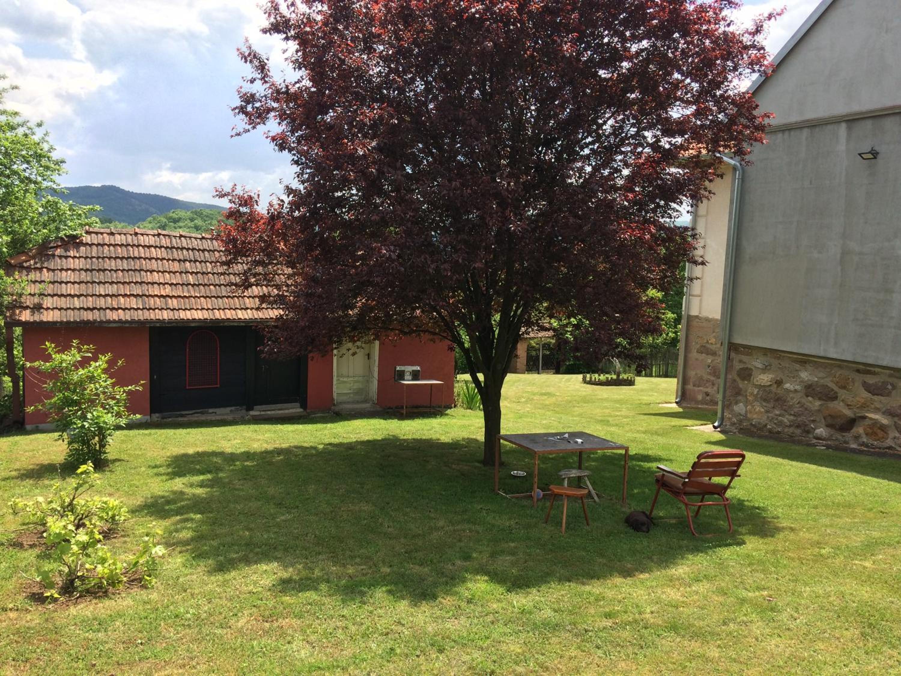 Photo 15