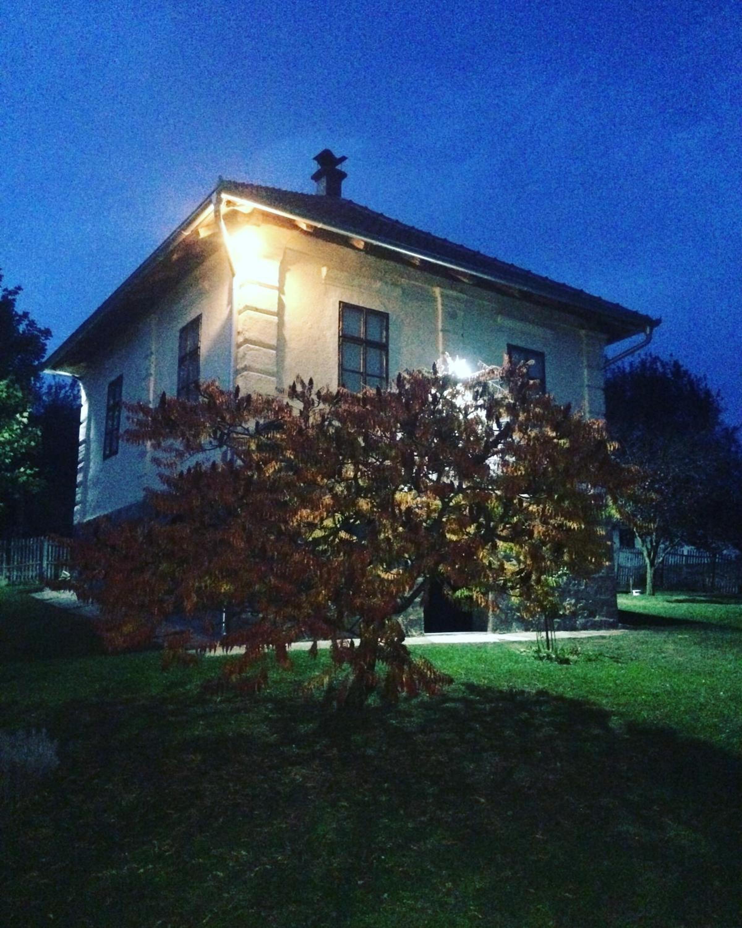 Photo 19