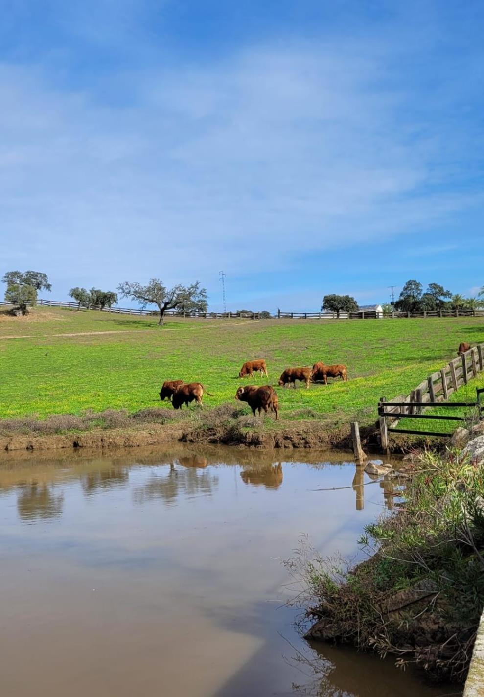 Alojamiento Rural Finca Barral