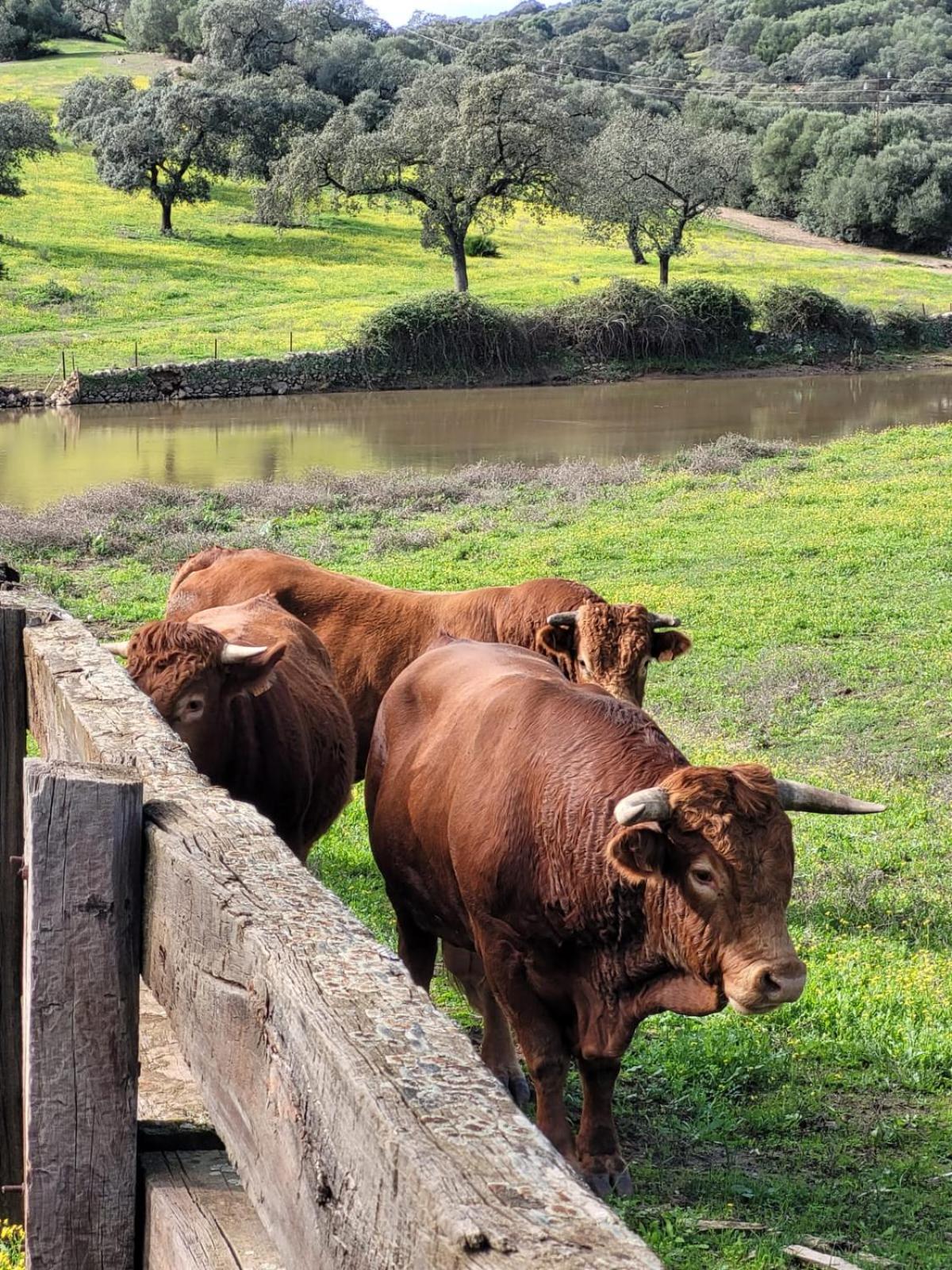 Alojamiento Rural Finca Barral