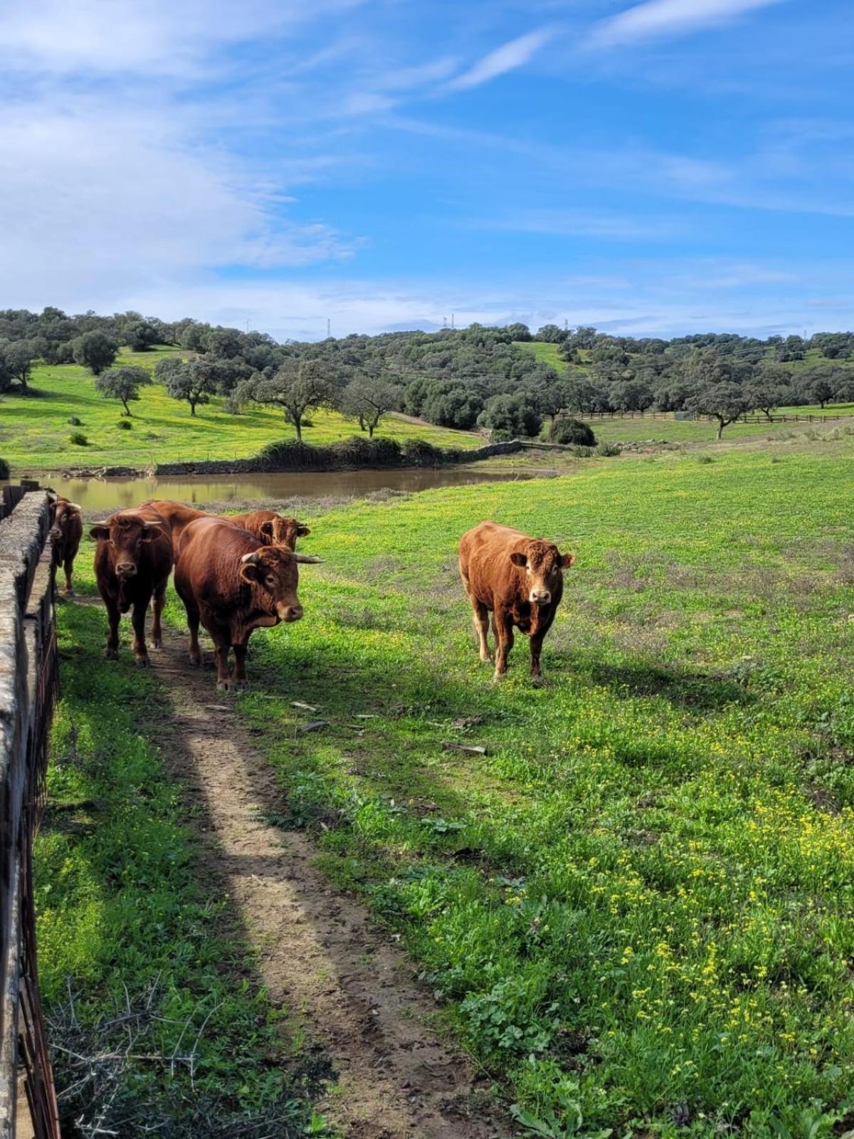 Alojamiento Rural Finca Barral