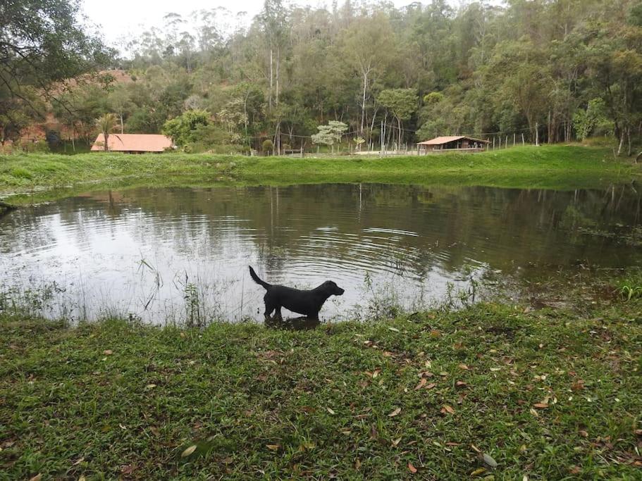 Container em Ouro Preto: represa mata caiaque bike