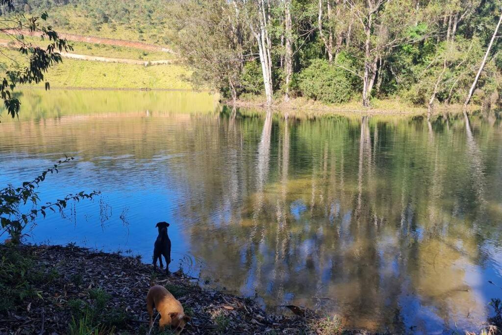 Container em Ouro Preto: represa mata caiaque bike
