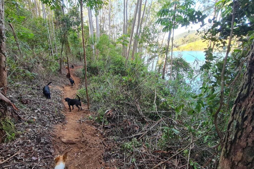 Container em Ouro Preto: represa mata caiaque bike