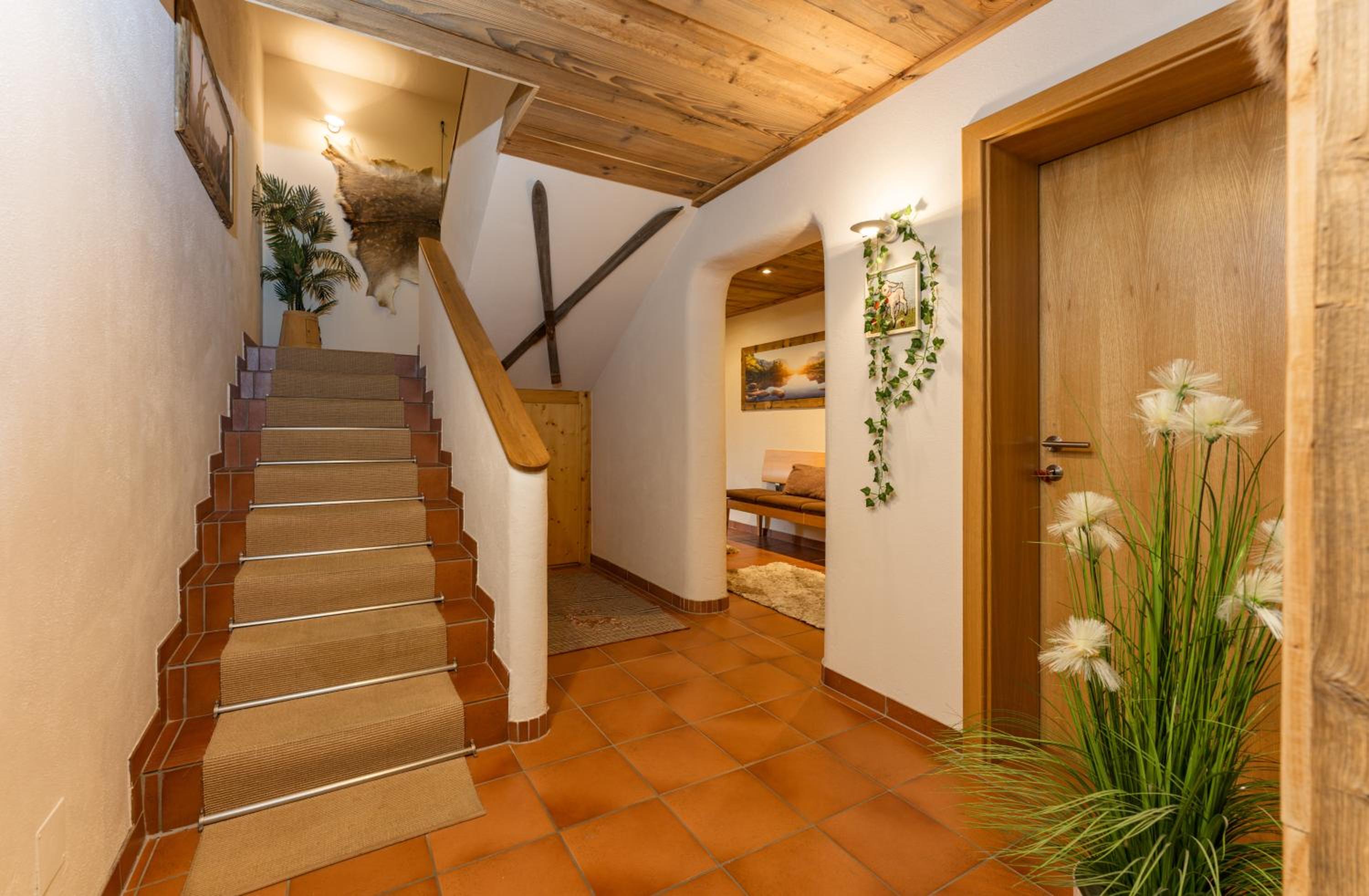 Hauskitz