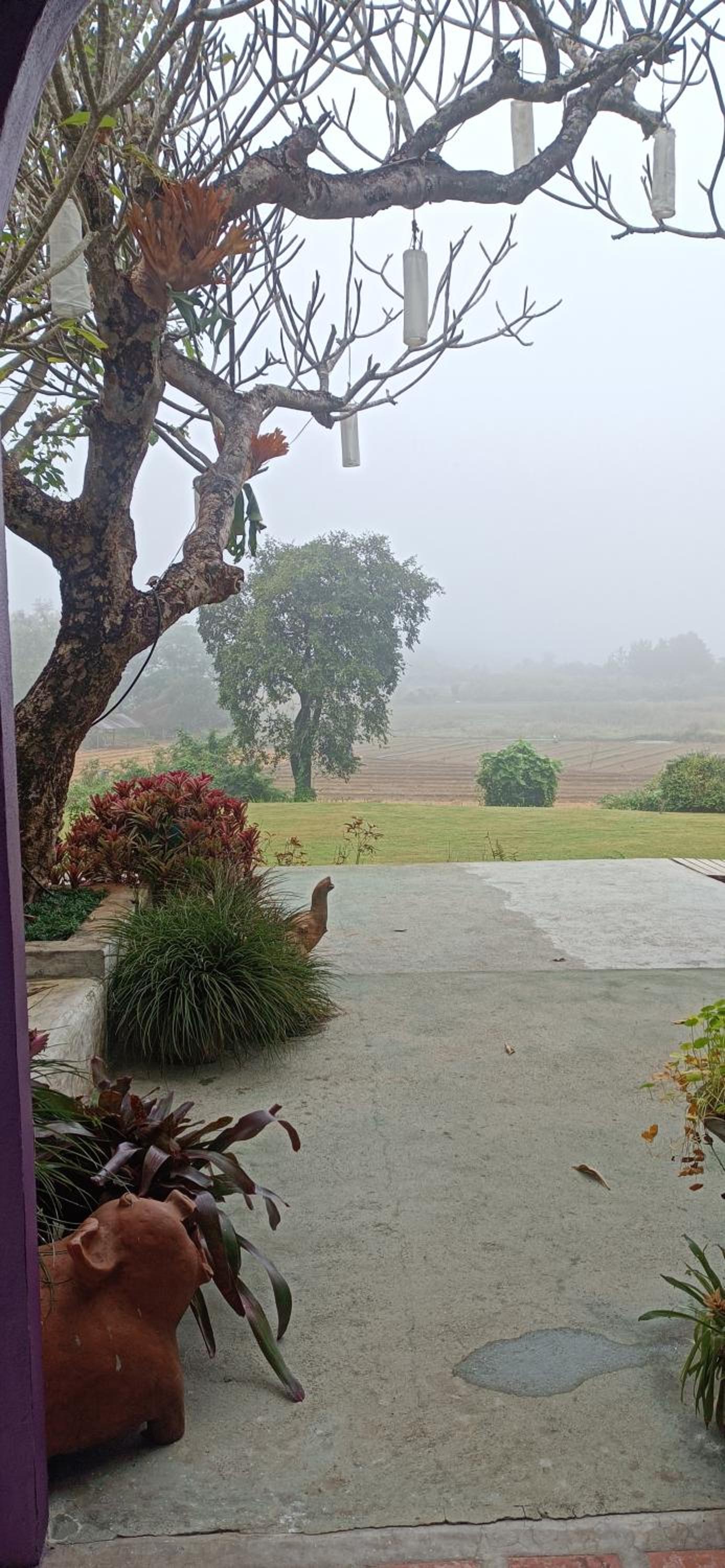 KuadKhonThoe Pai Cottage