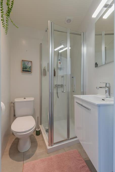 Cosy duplex nearby city centre of Ghent for 6