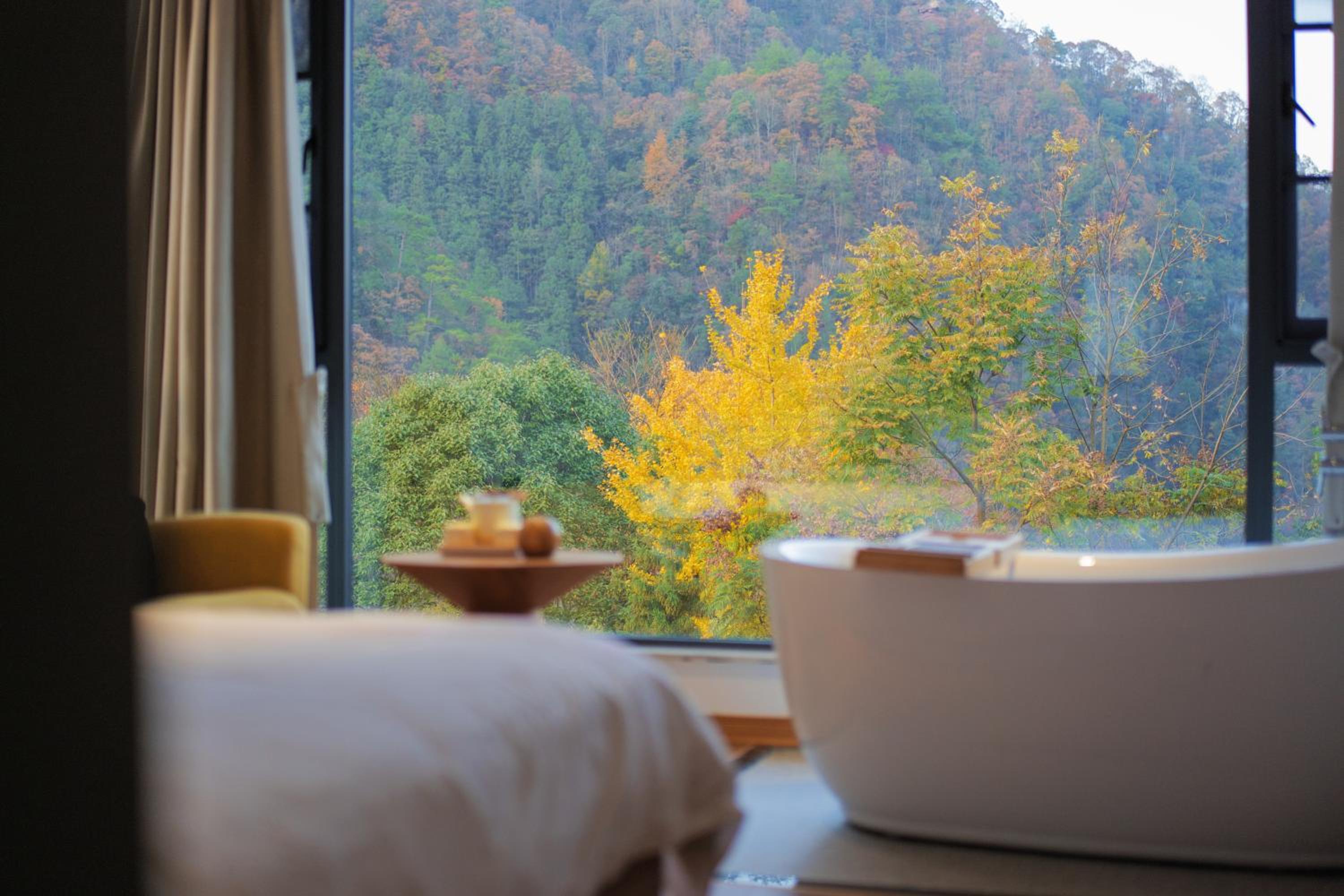 Zhangjiajie Mount View Cottage