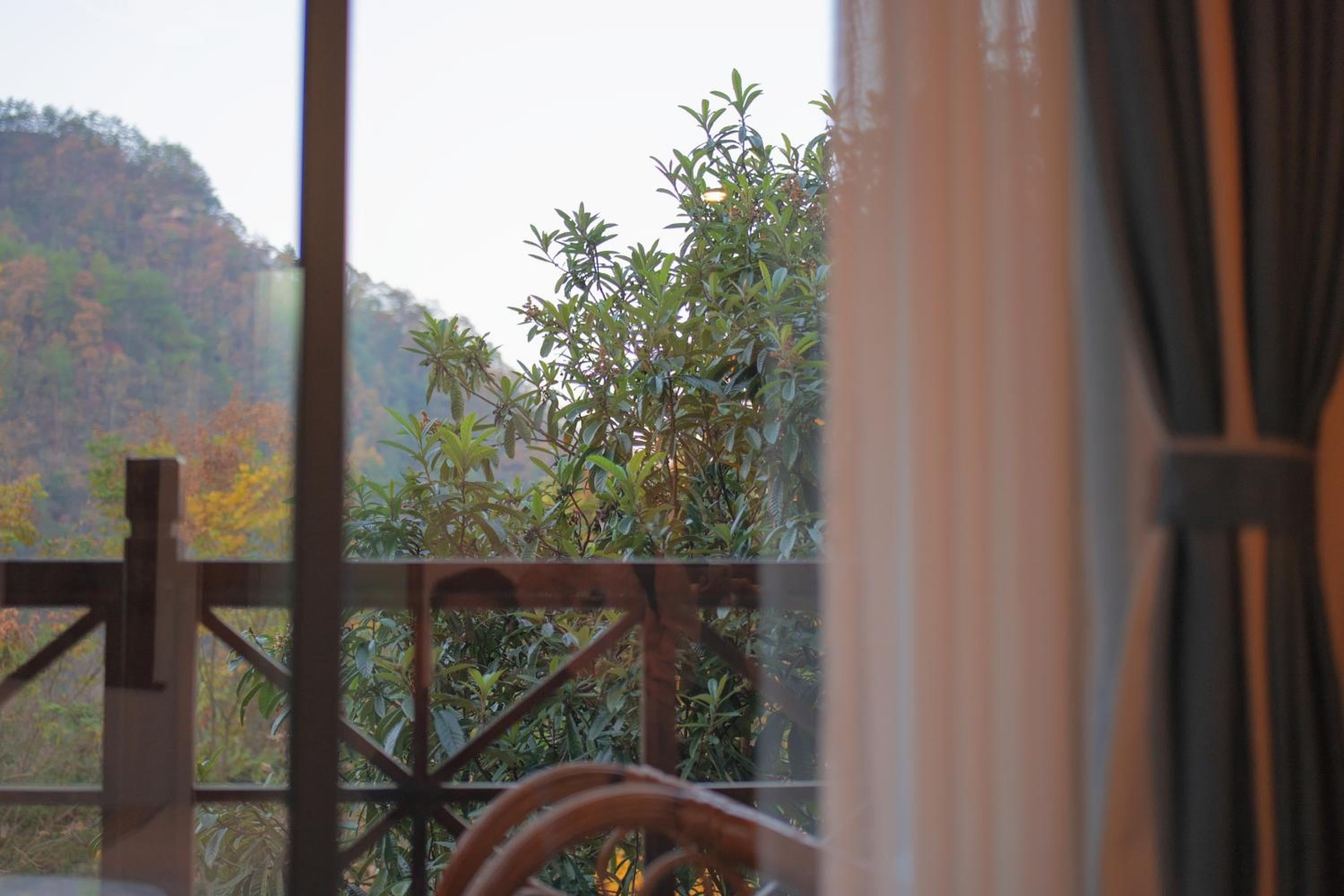 Zhangjiajie Mount View Cottage