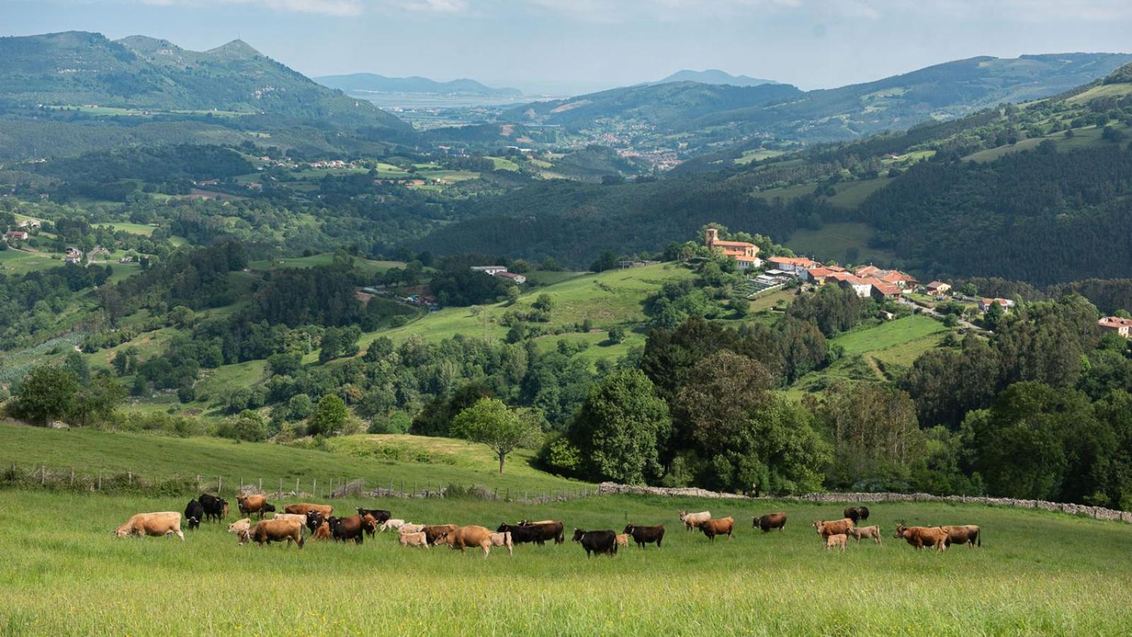 Conjunto Rural la Tejedora. Albergue y estudios familiares.