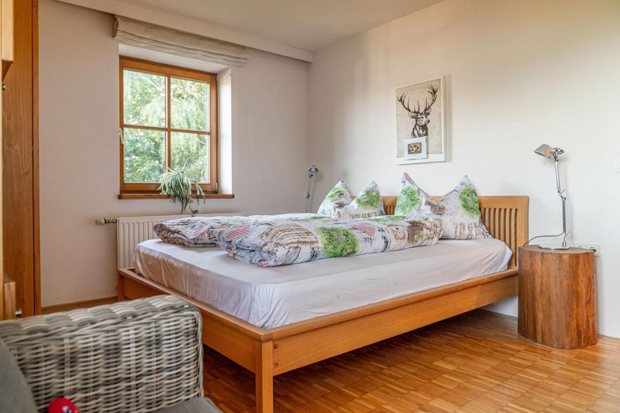 Hauskitz
