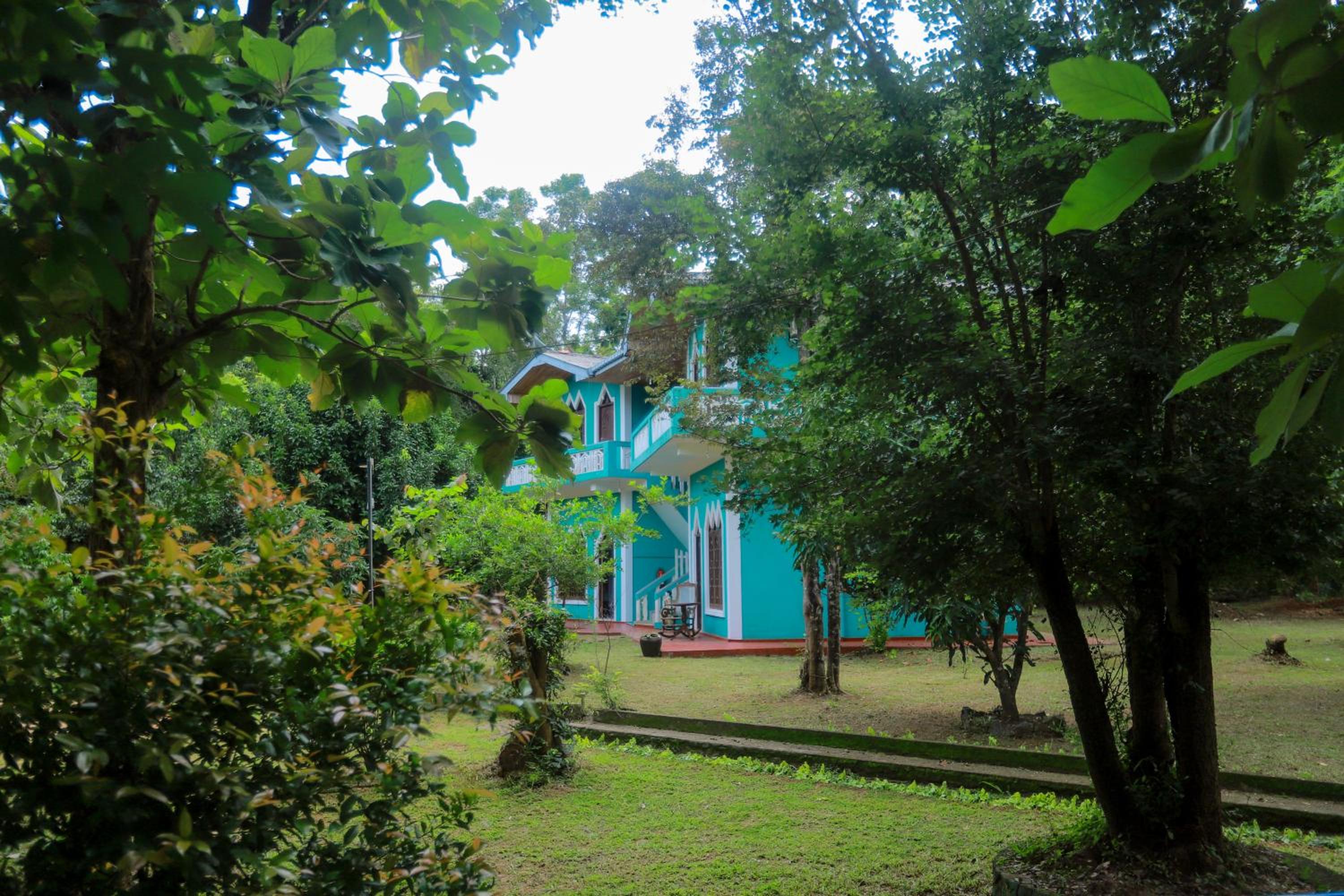 Photo 20