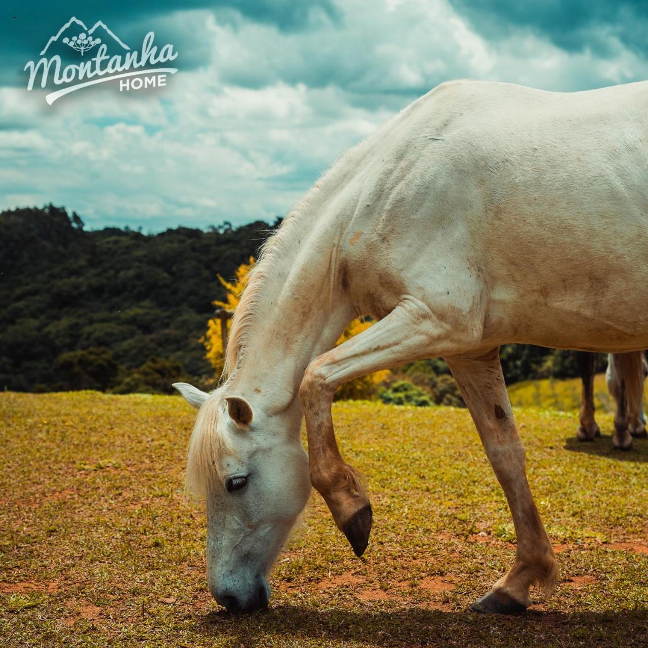 Montanha Home