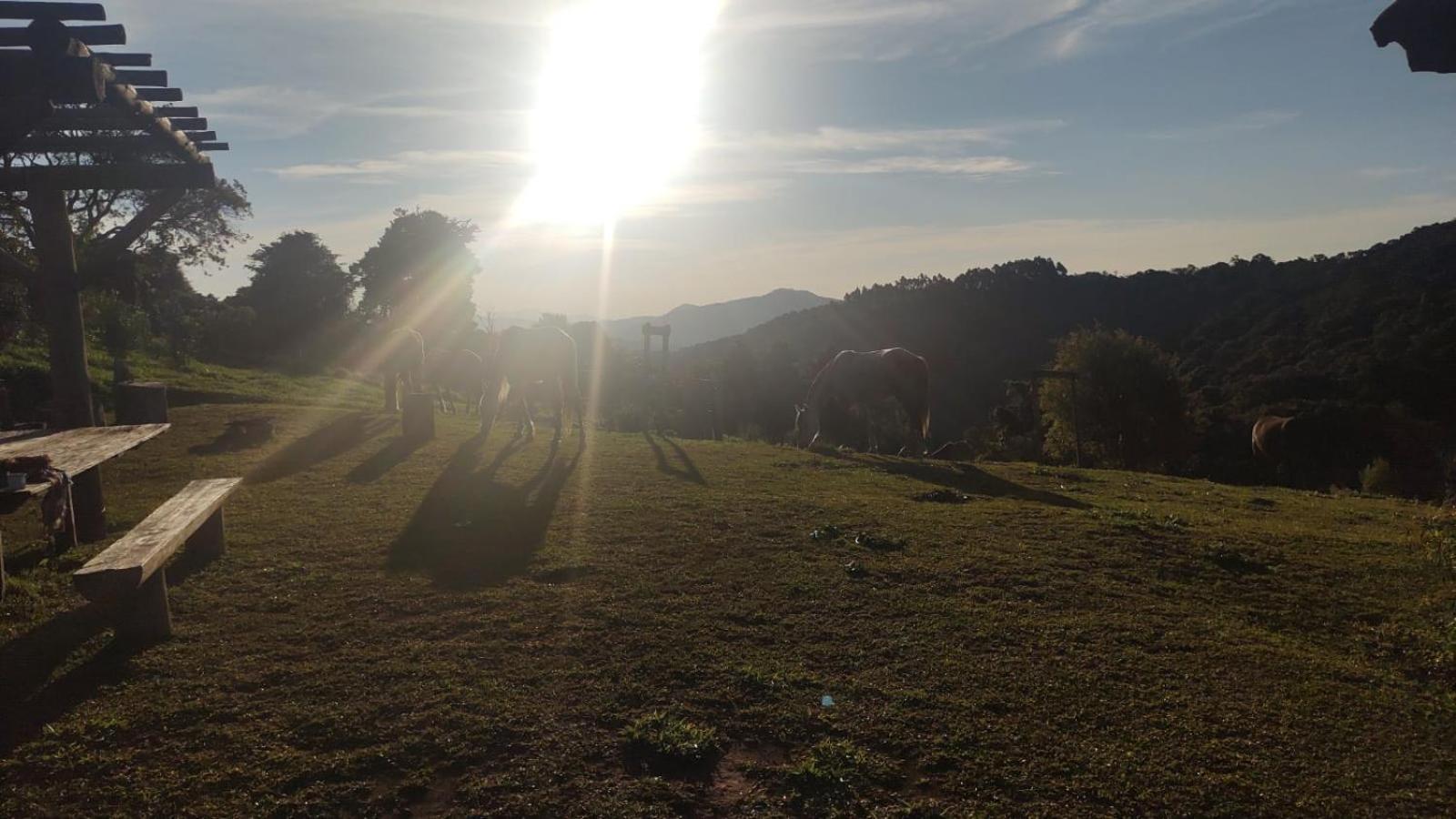 Montanha Home