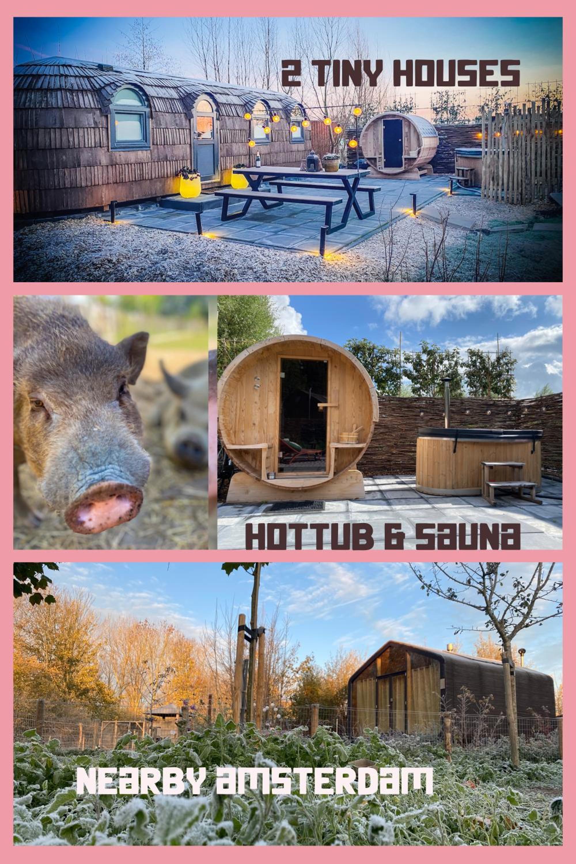 Bed & Wellness Pigs and Pillows with private hottub and sauna and tandembike rental included in price near Amsterdam