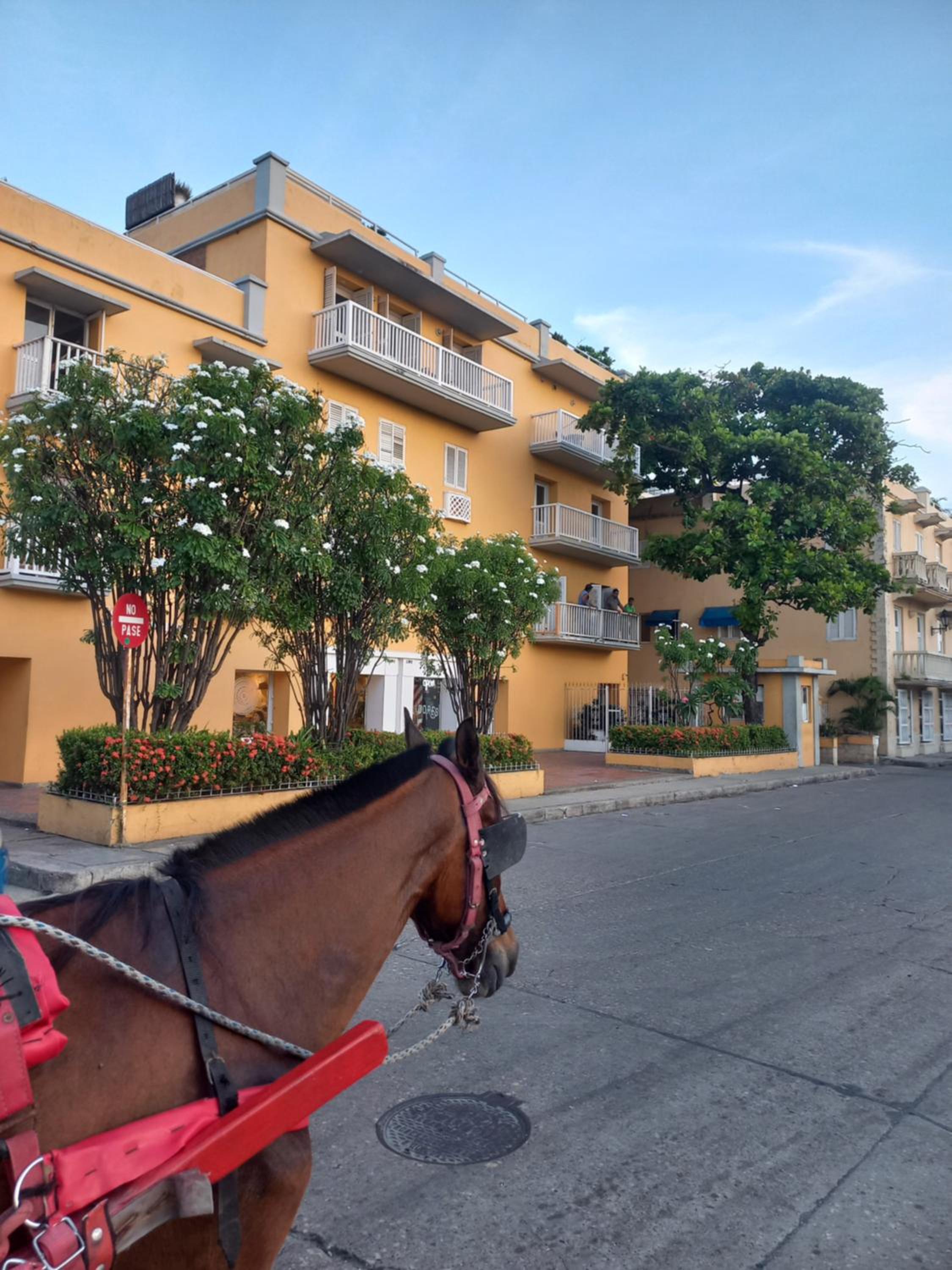 Apartamento centro historico
