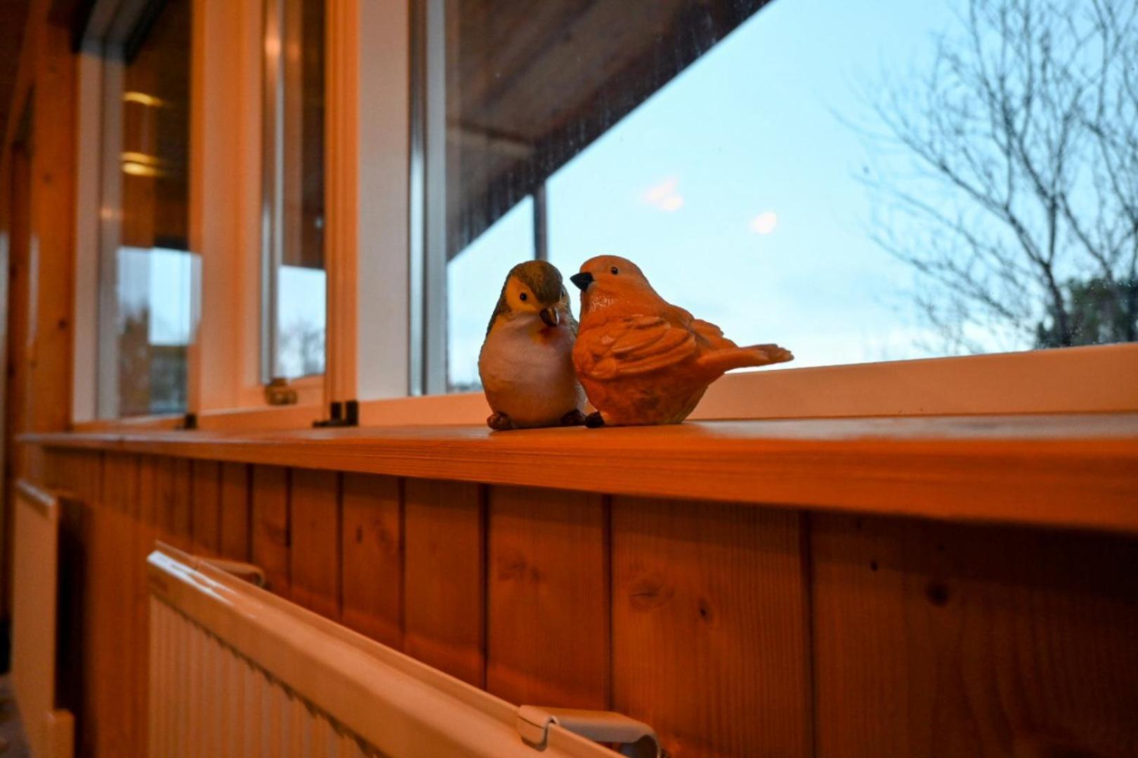 Thingvellir Cabin/Chalet view 5
