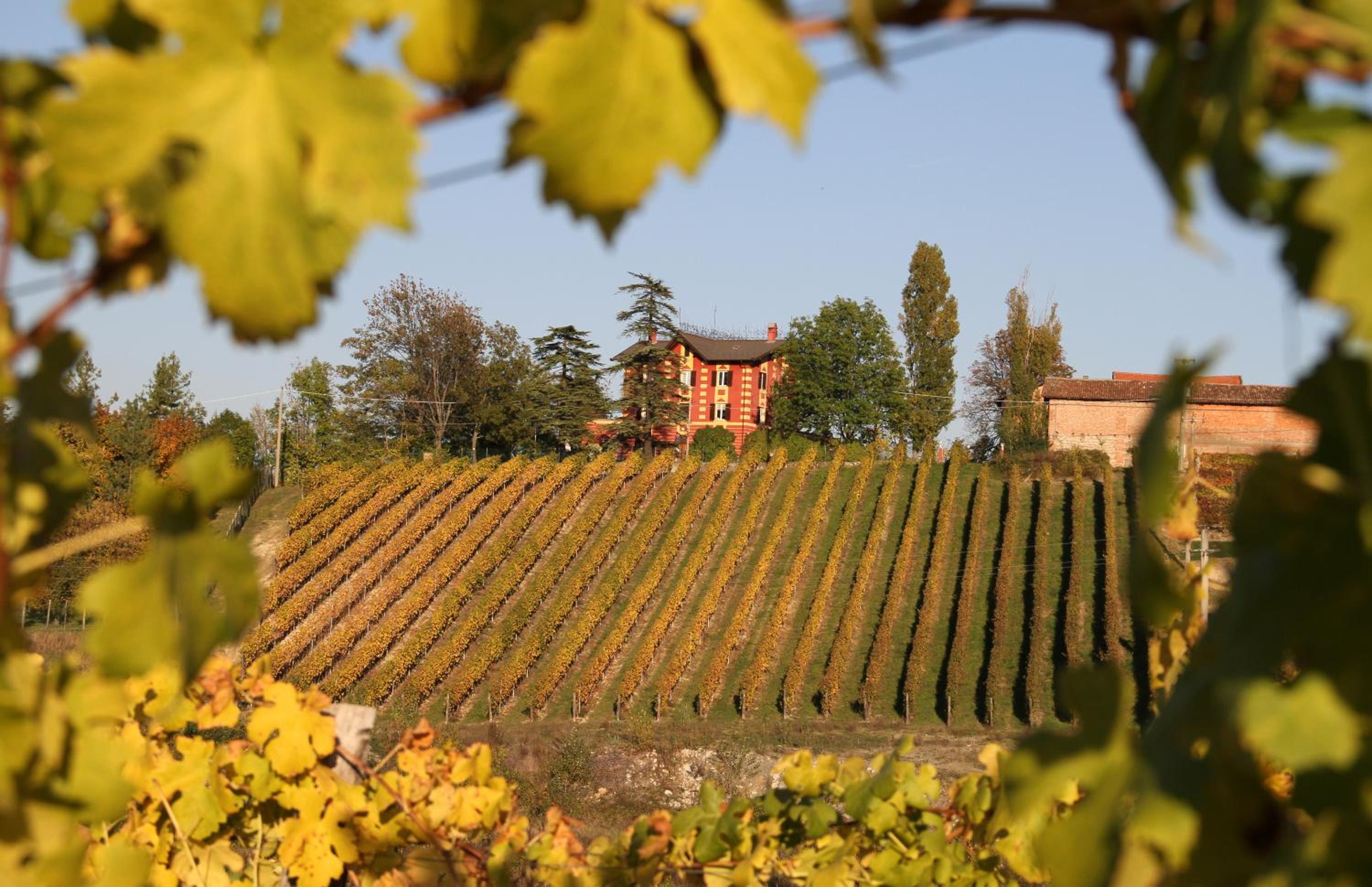 Villa Pallavicini B&B