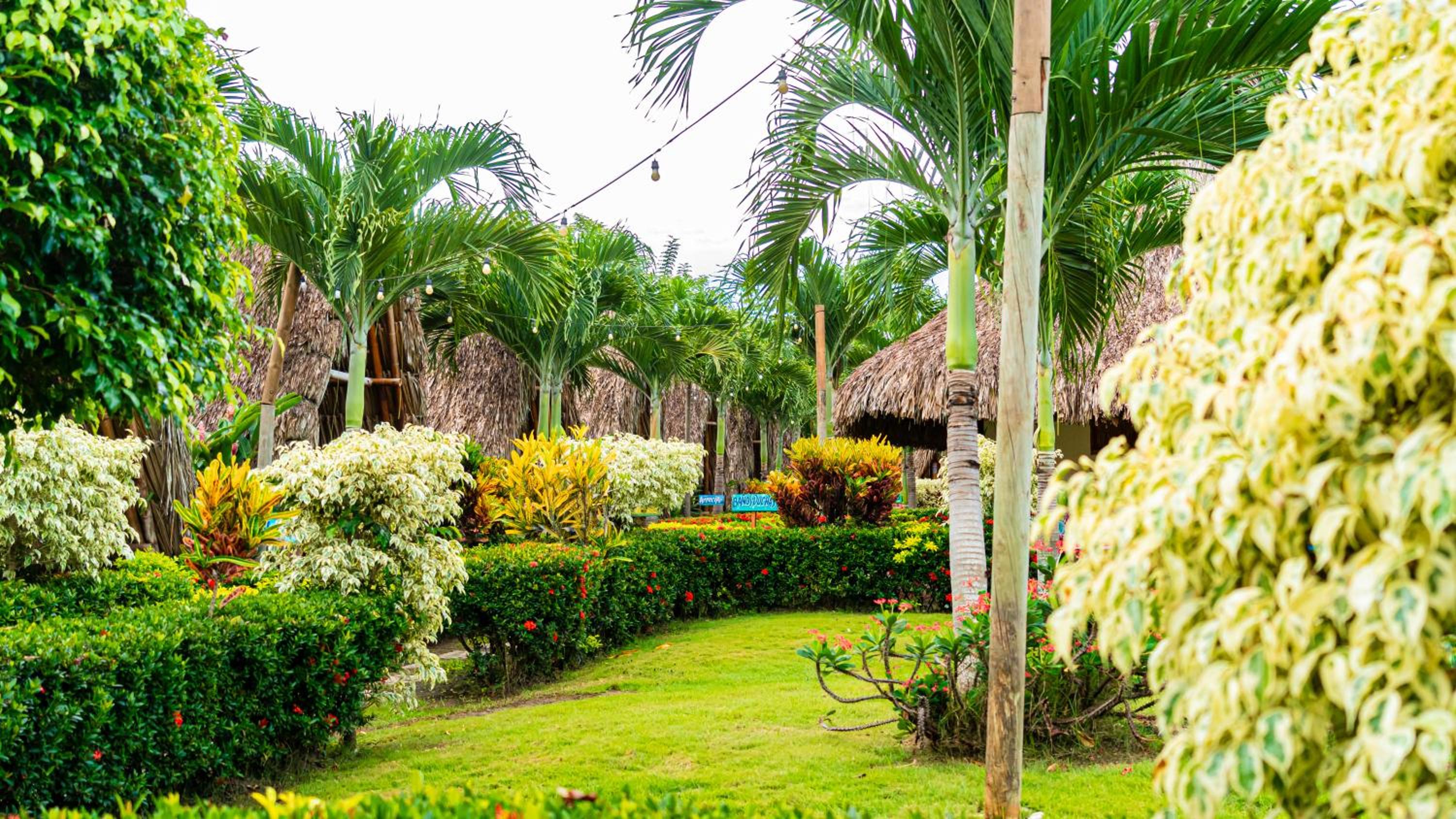 Tiki Hut Hostel view 2